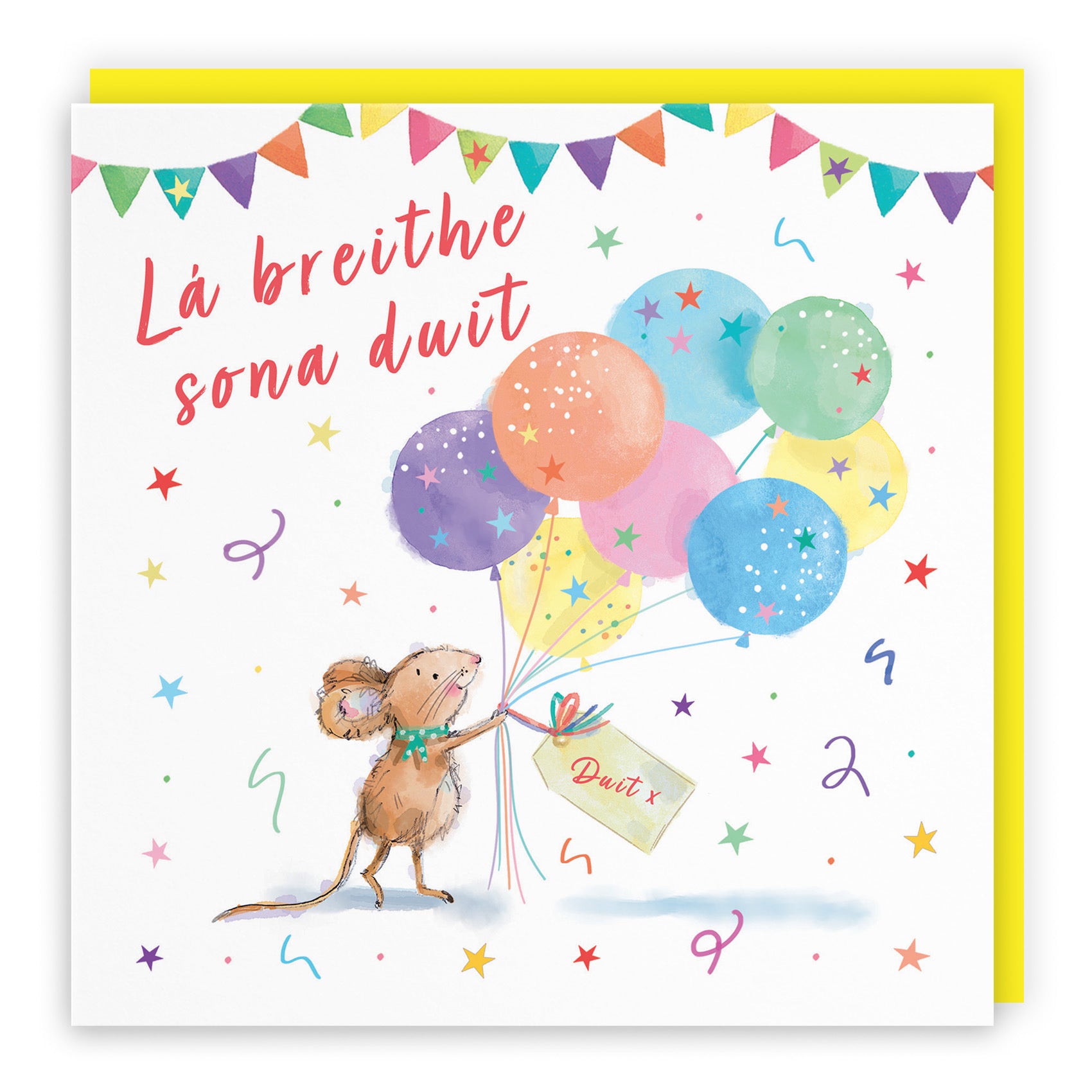 Irish Gaelic Language Birthday Card Colourful Balloons Little Whiskers - Default Title (SN00554)