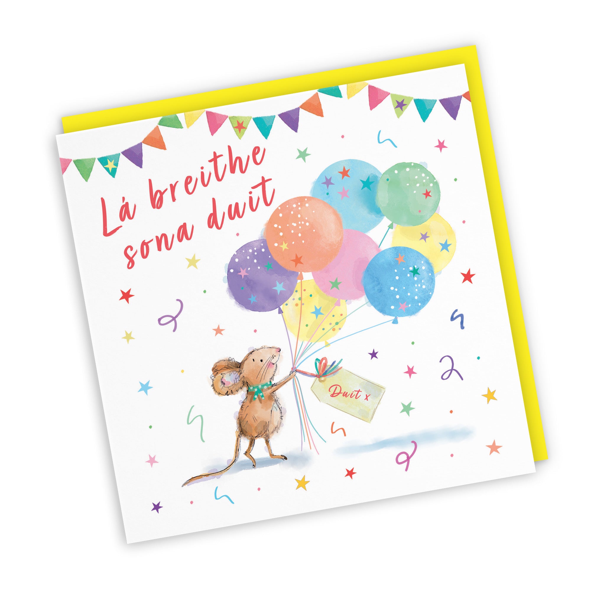 Irish Gaelic Language Birthday Card Colourful Balloons Little Whiskers - Default Title (SN00554)