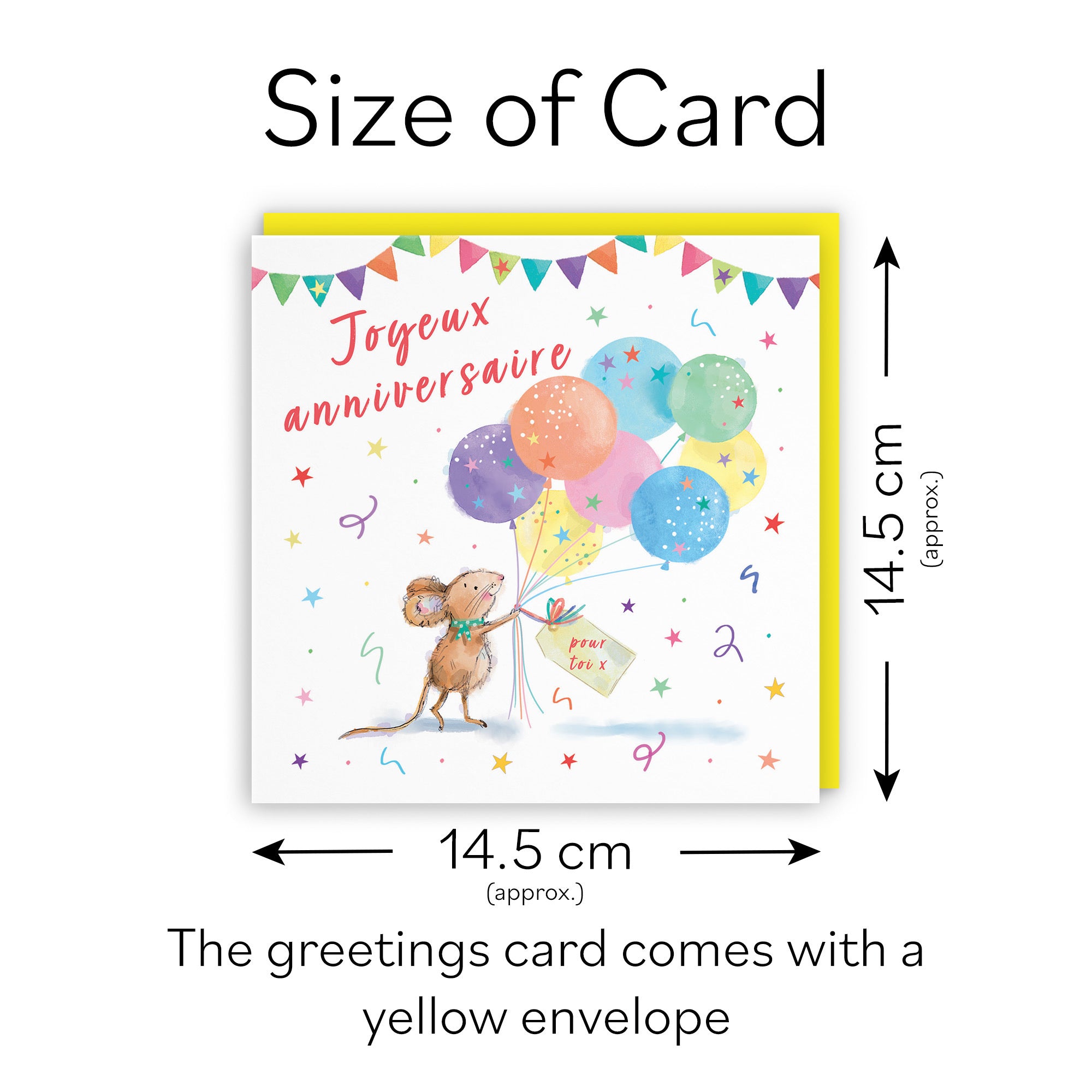 French Language Birthday Card Colourful Balloons Little Whiskers - Default Title (SN00560)