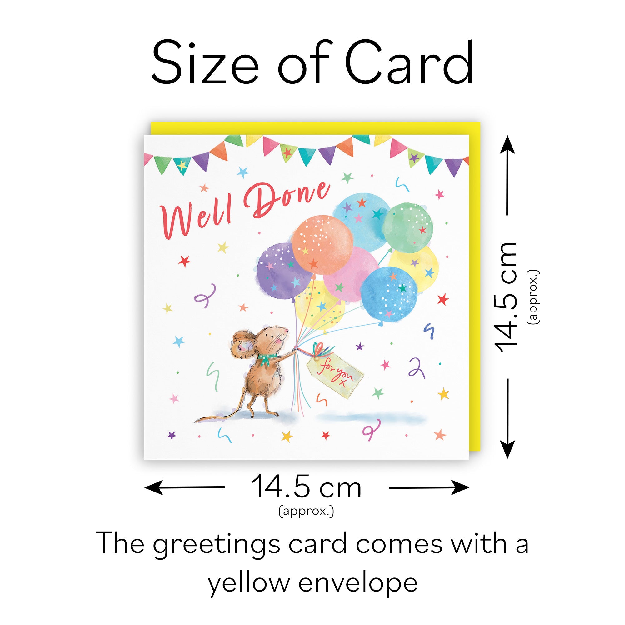 Well Done Congratulations Card Colourful Balloons Little Whiskers - Default Title (SN00561)