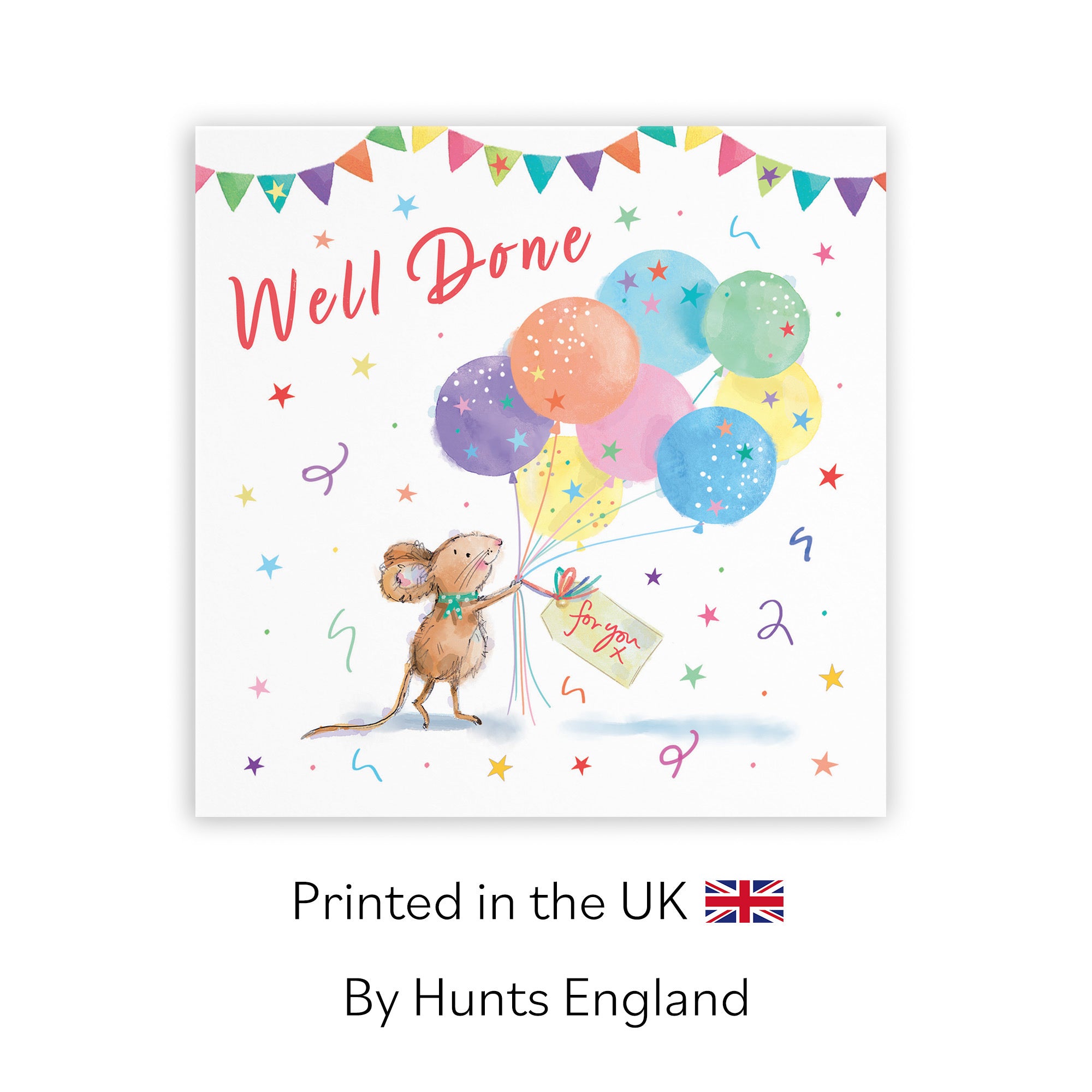 Well Done Congratulations Card Colourful Balloons Little Whiskers - Default Title (SN00561)