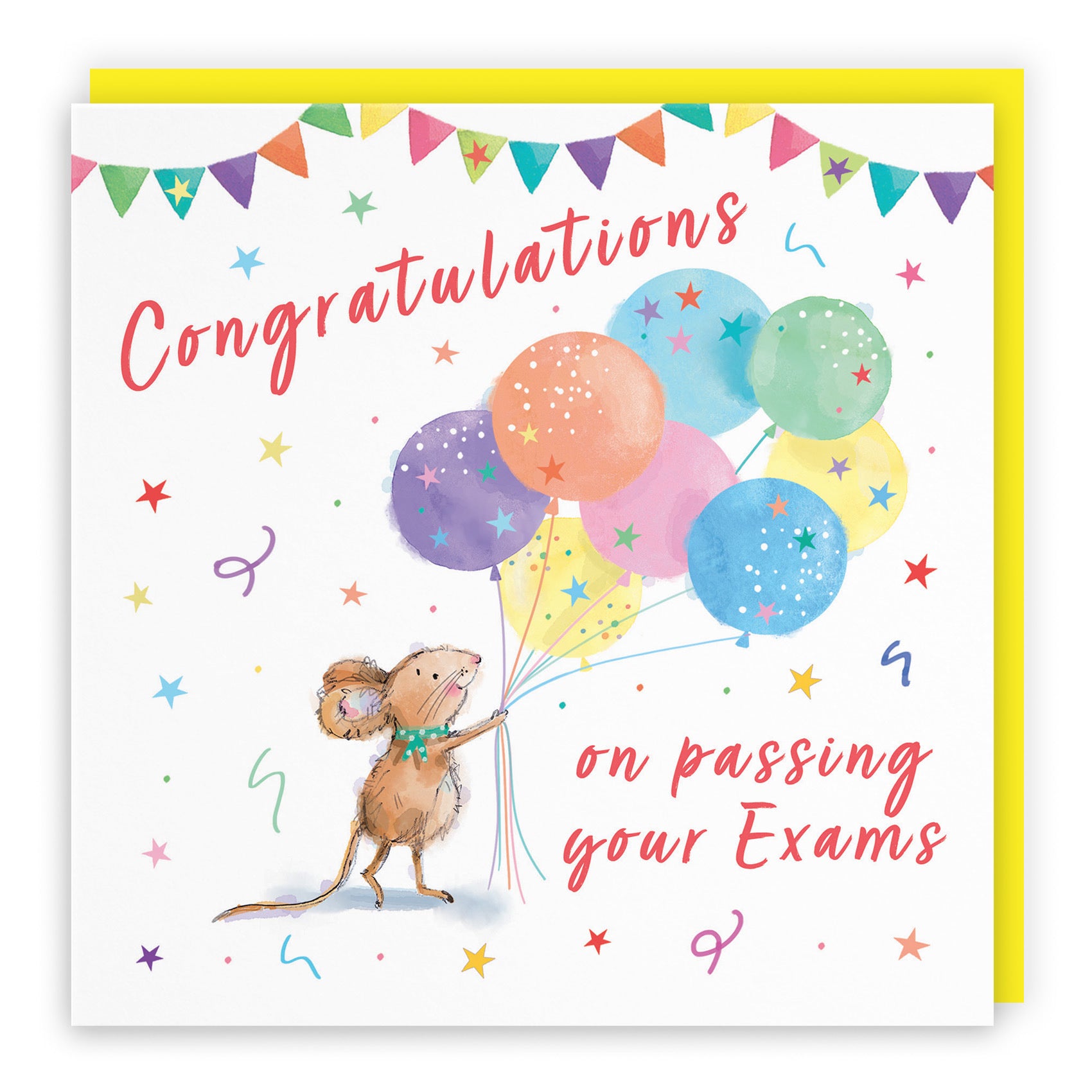 Exams Congratulations Card Colourful Balloons Little Whiskers - Default Title (SN00563)
