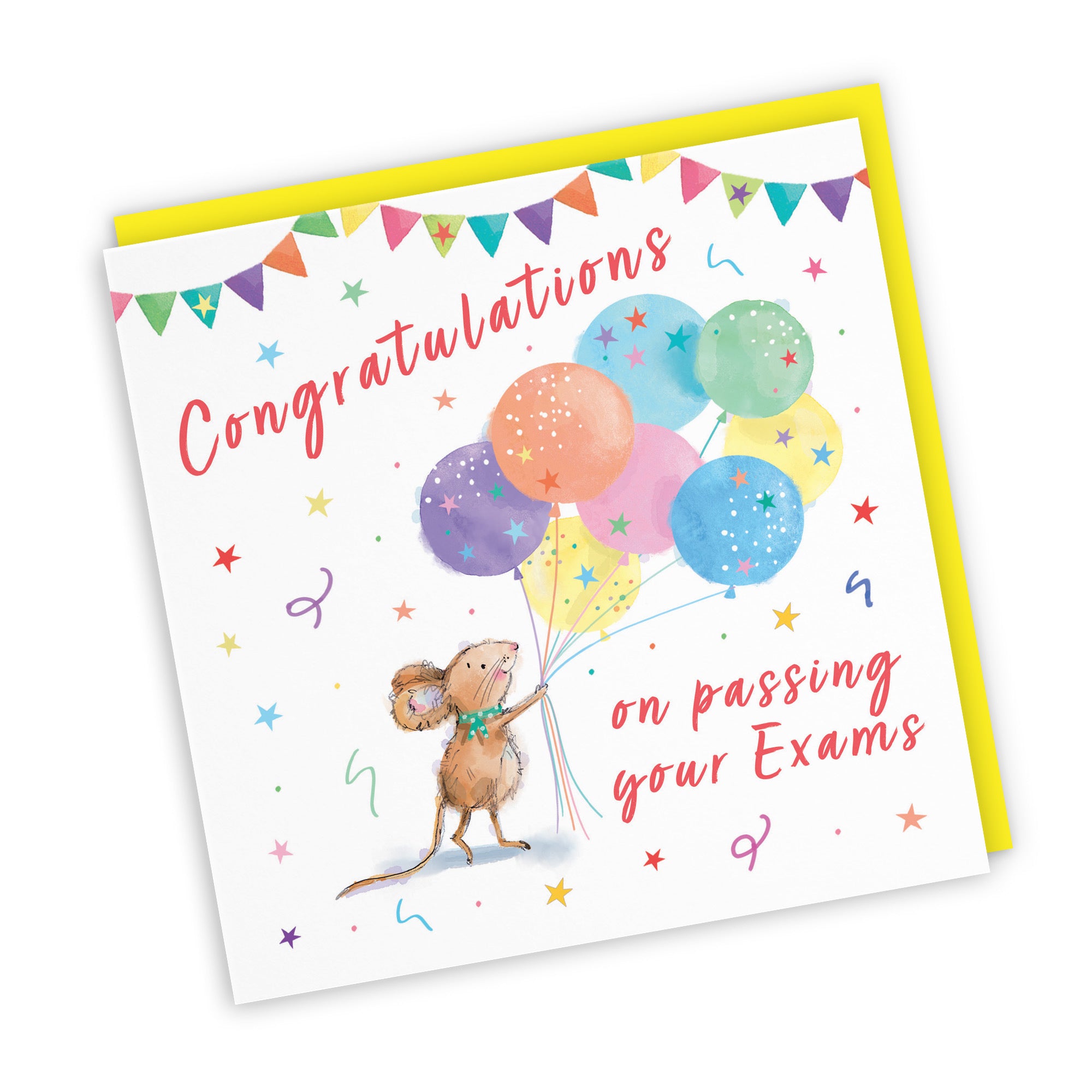 Exams Congratulations Card Colourful Balloons Little Whiskers - Default Title (SN00563)