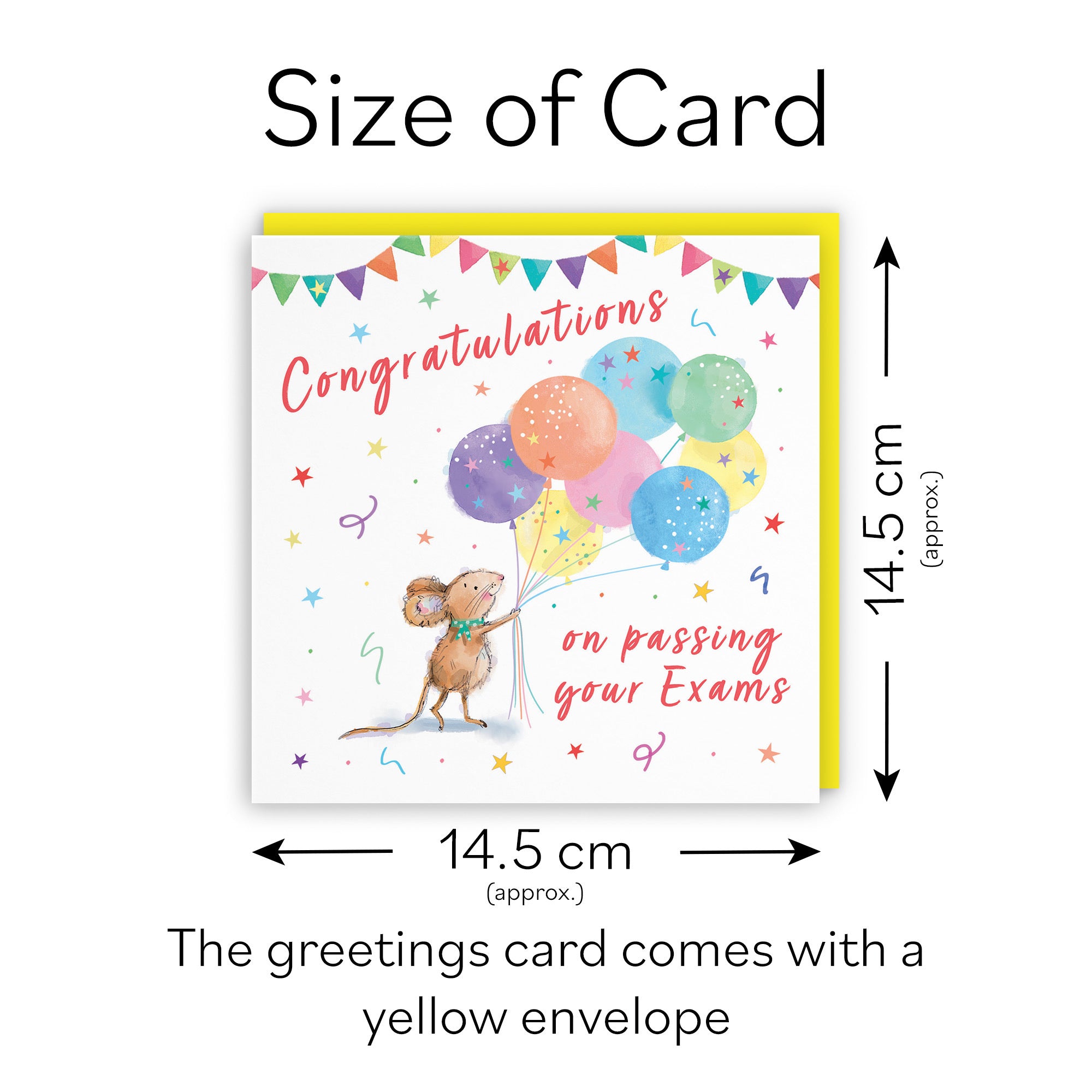 Exams Congratulations Card Colourful Balloons Little Whiskers - Default Title (SN00563)