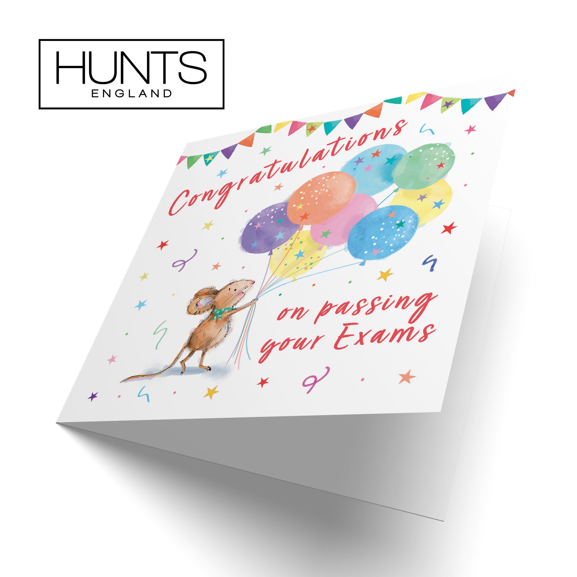 Exams Congratulations Card Colourful Balloons Little Whiskers - Default Title (SN00563)