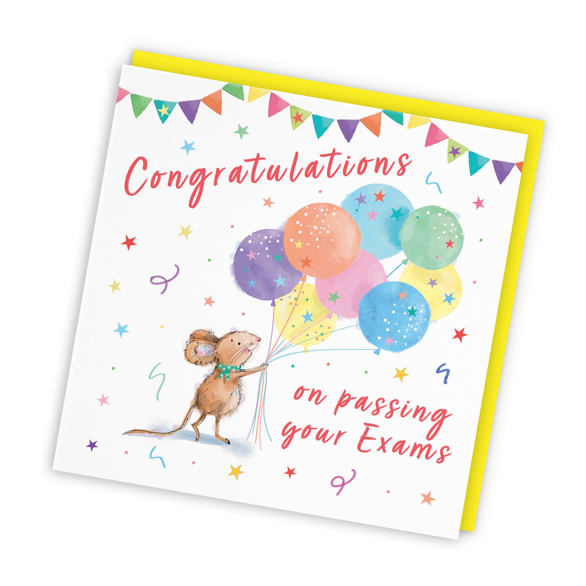 Exams Congratulations Card Colourful Balloons Little Whiskers - Default Title (SN00563)