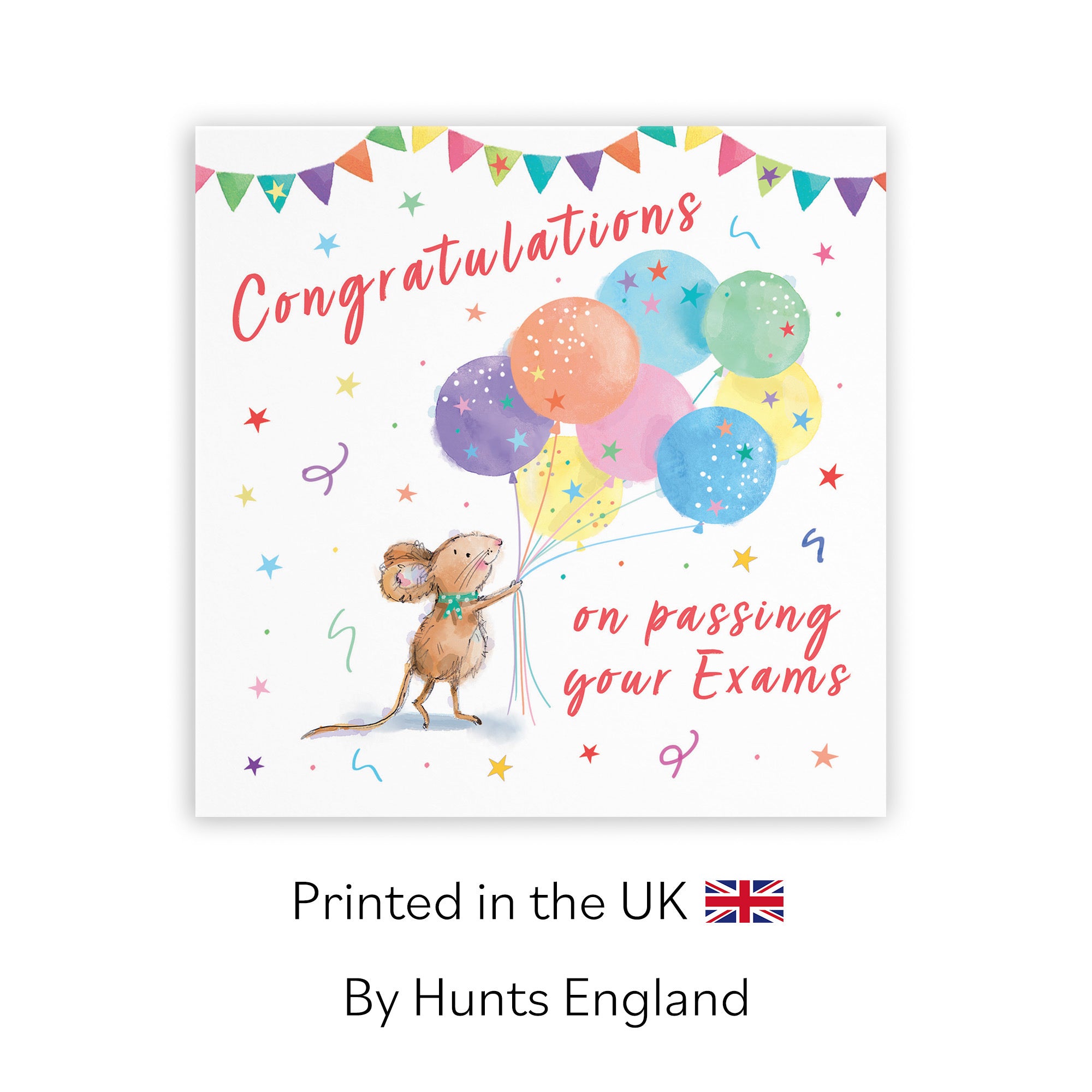 Exams Congratulations Card Colourful Balloons Little Whiskers - Default Title (SN00563)