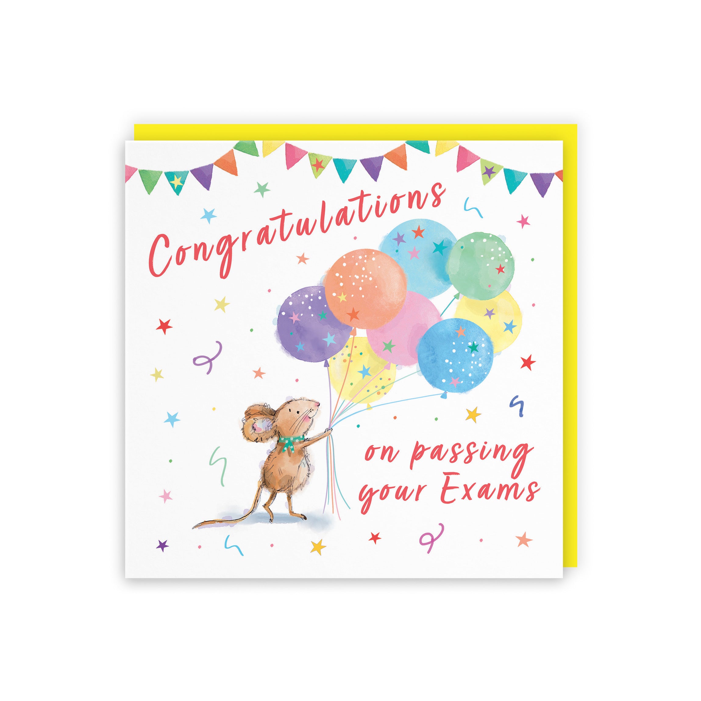 Exams Congratulations Card Colourful Balloons Little Whiskers - Default Title (SN00563)