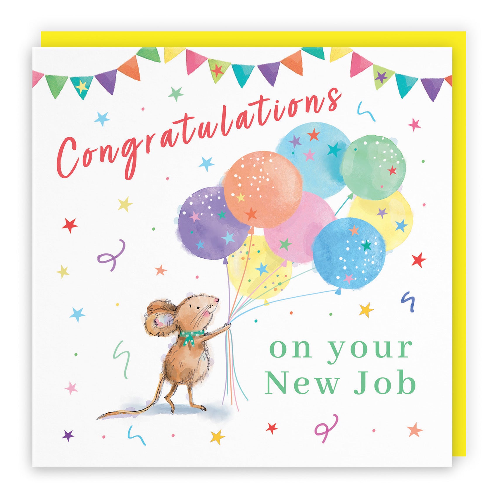 New Job Congratulations Card Colourful Balloons Little Whiskers - Default Title (SN00565)