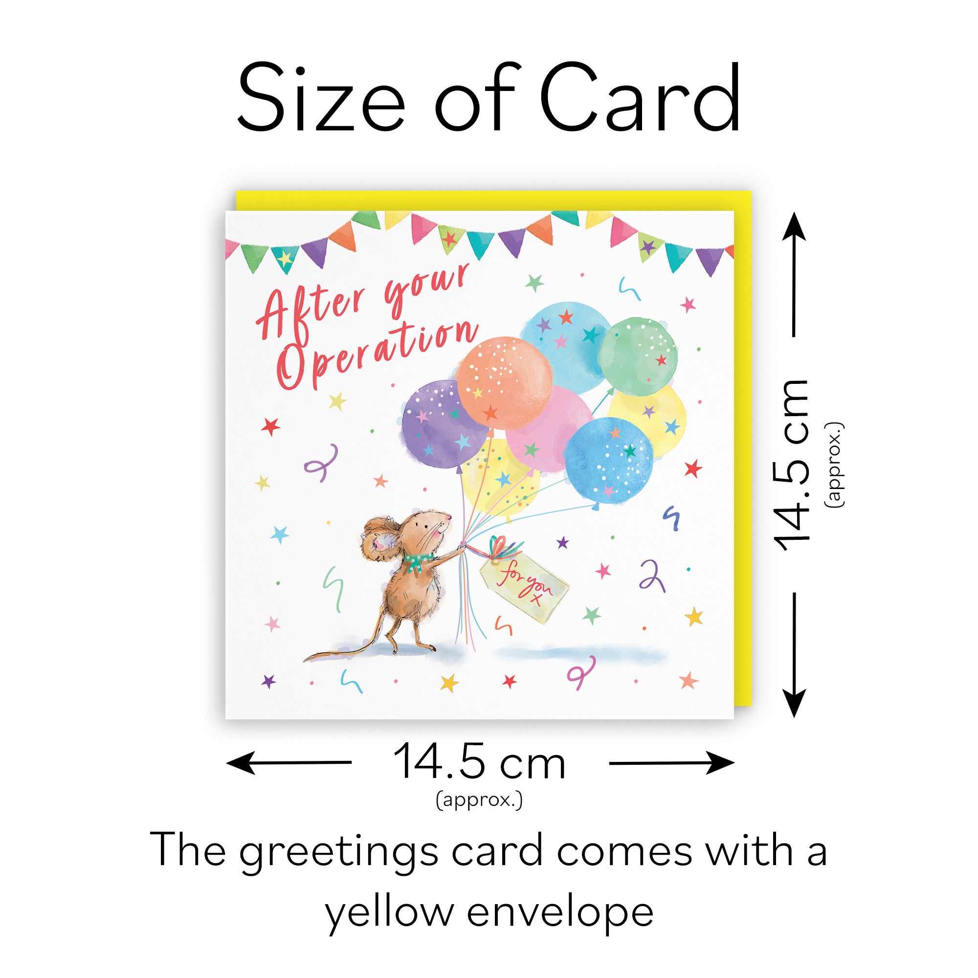 After Operation Get Well Card Colourful Balloons Little Whiskers - Default Title (SN00568)