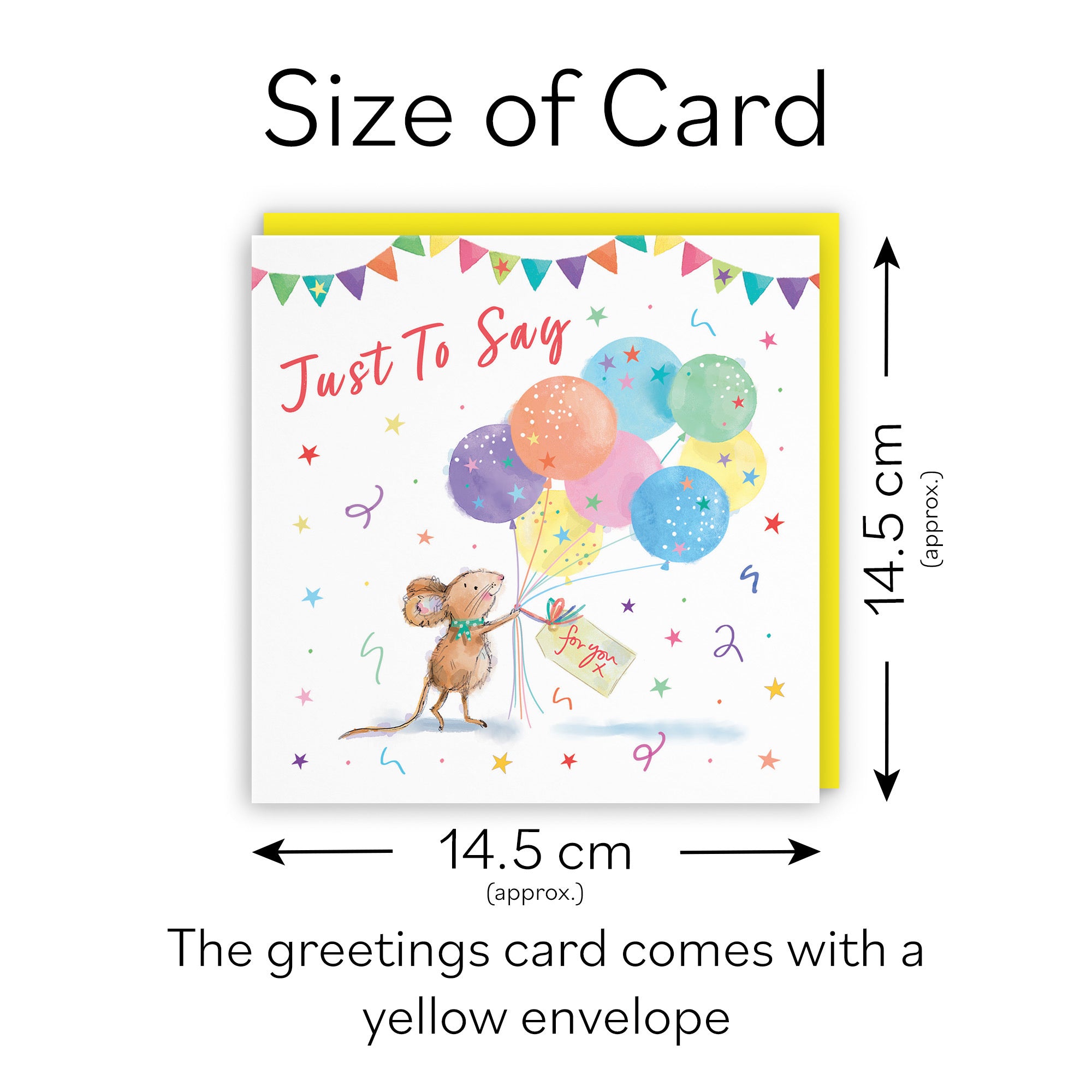 Just To Say Card Colourful Balloons Little Whiskers - Default Title (SN00570)