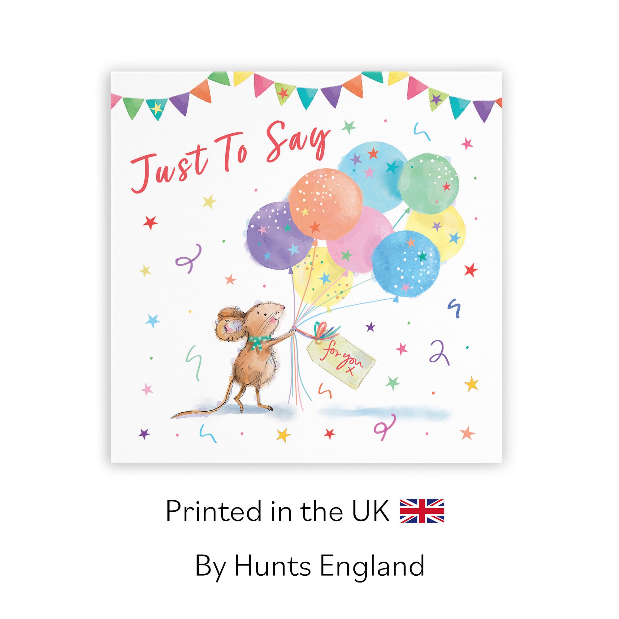 Just To Say Card Colourful Balloons Little Whiskers - Default Title (SN00570)