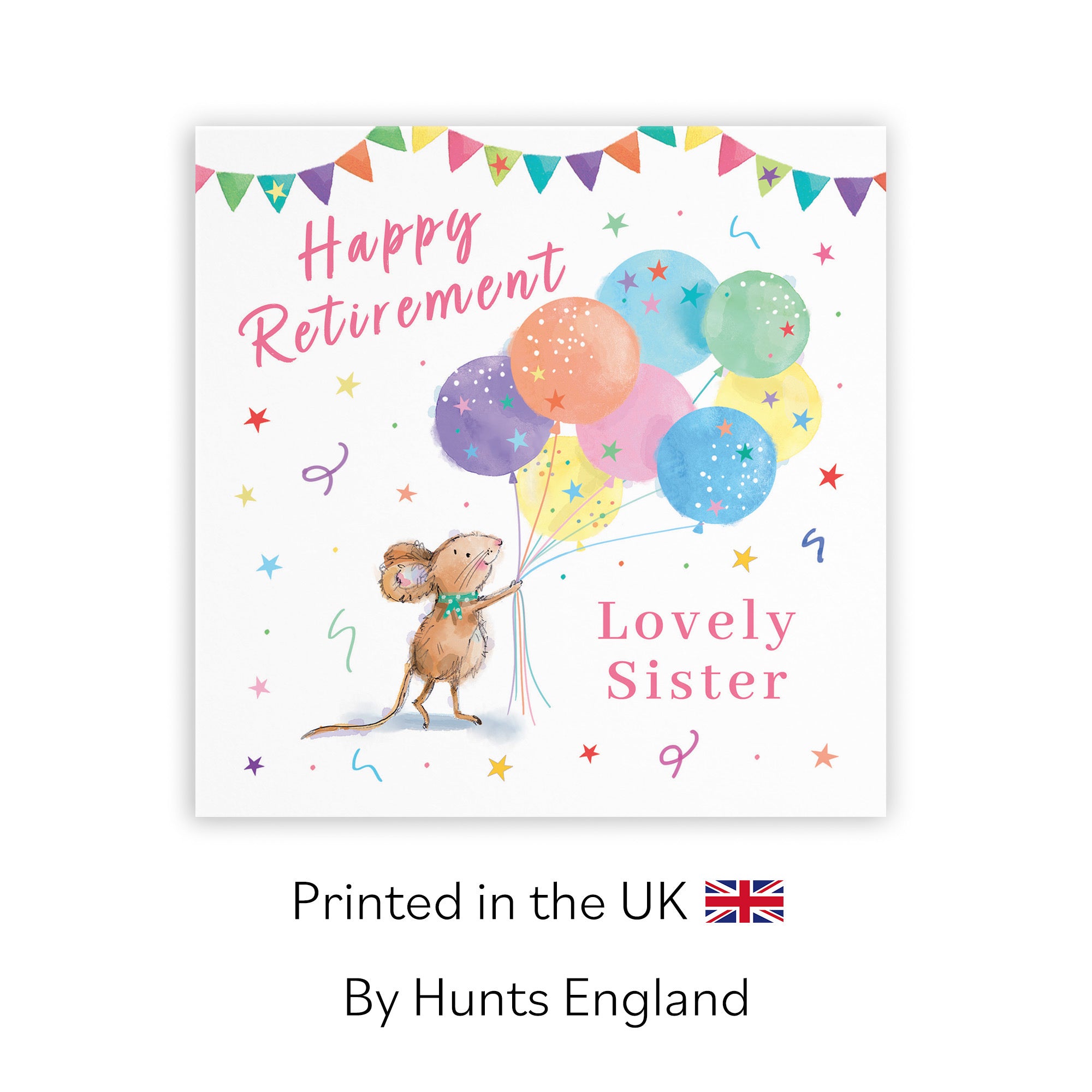 Sister Retirement Card Colourful Balloons Little Whiskers - Default Title (SN00574)