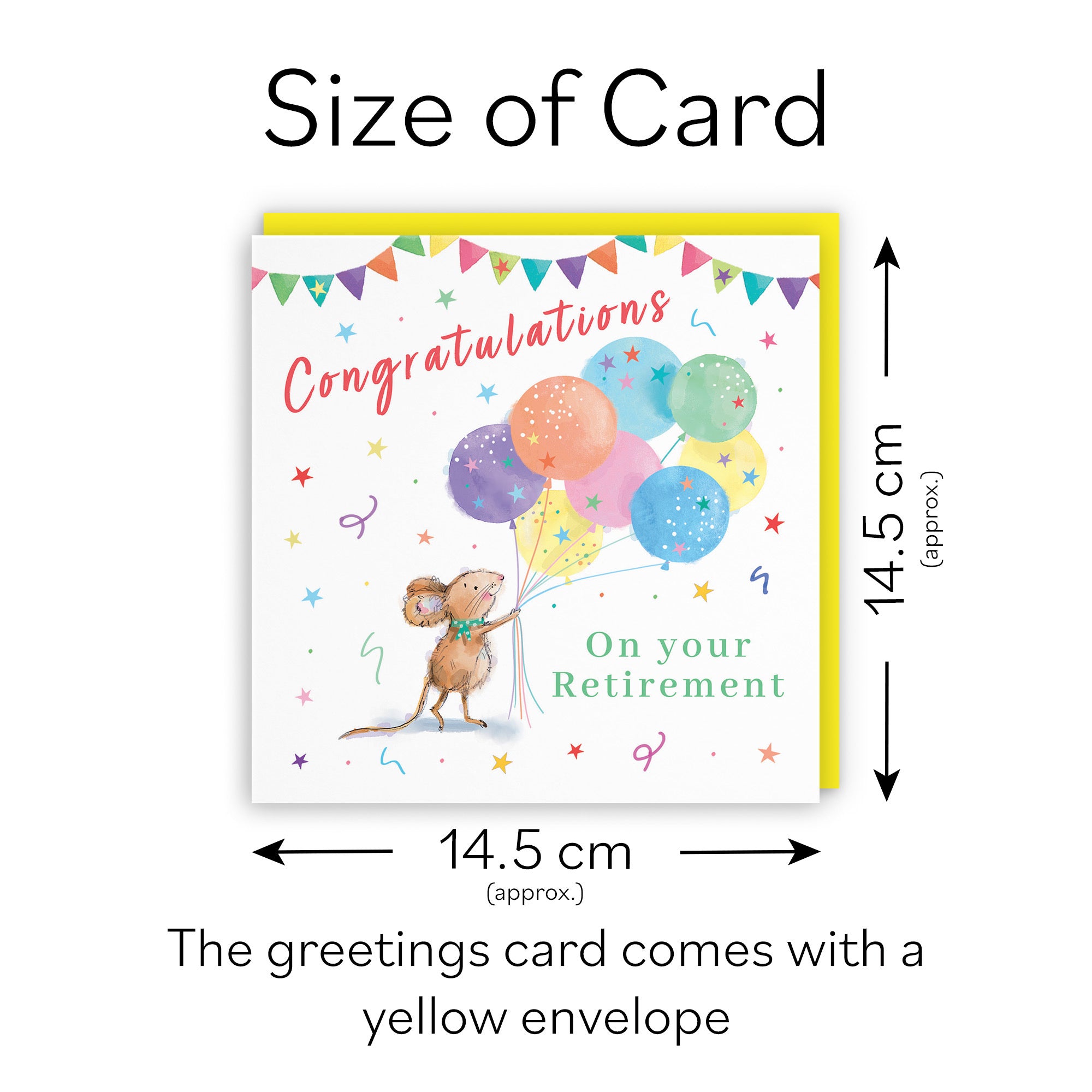 Retirement Card Colourful Balloons Little Whiskers - Default Title (SN00575)