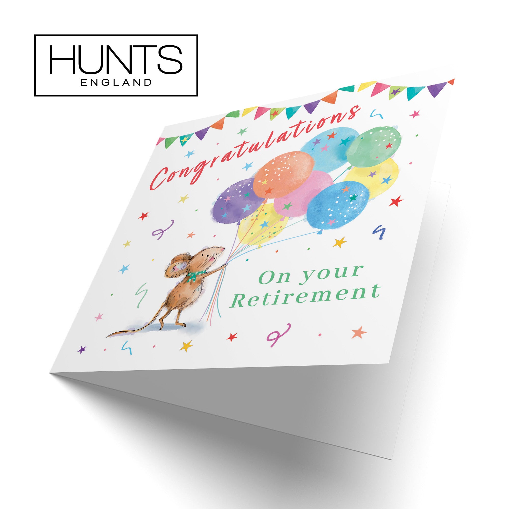 Retirement Card Colourful Balloons Little Whiskers - Default Title (SN00575)