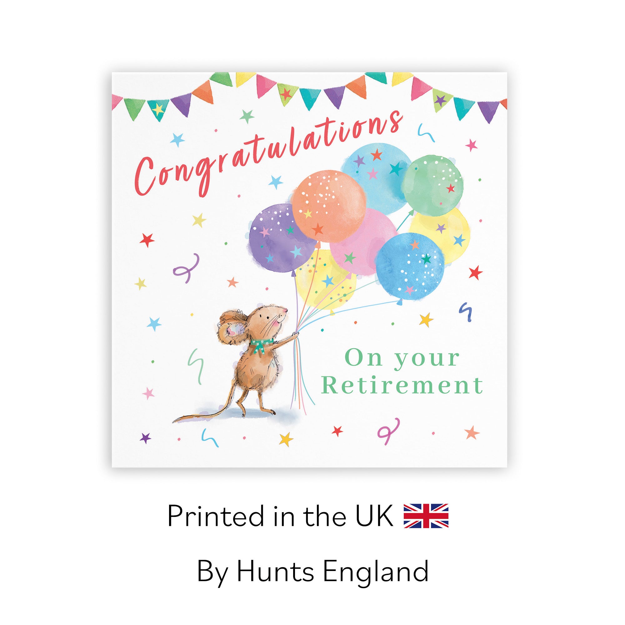 Retirement Card Colourful Balloons Little Whiskers - Default Title (SN00575)
