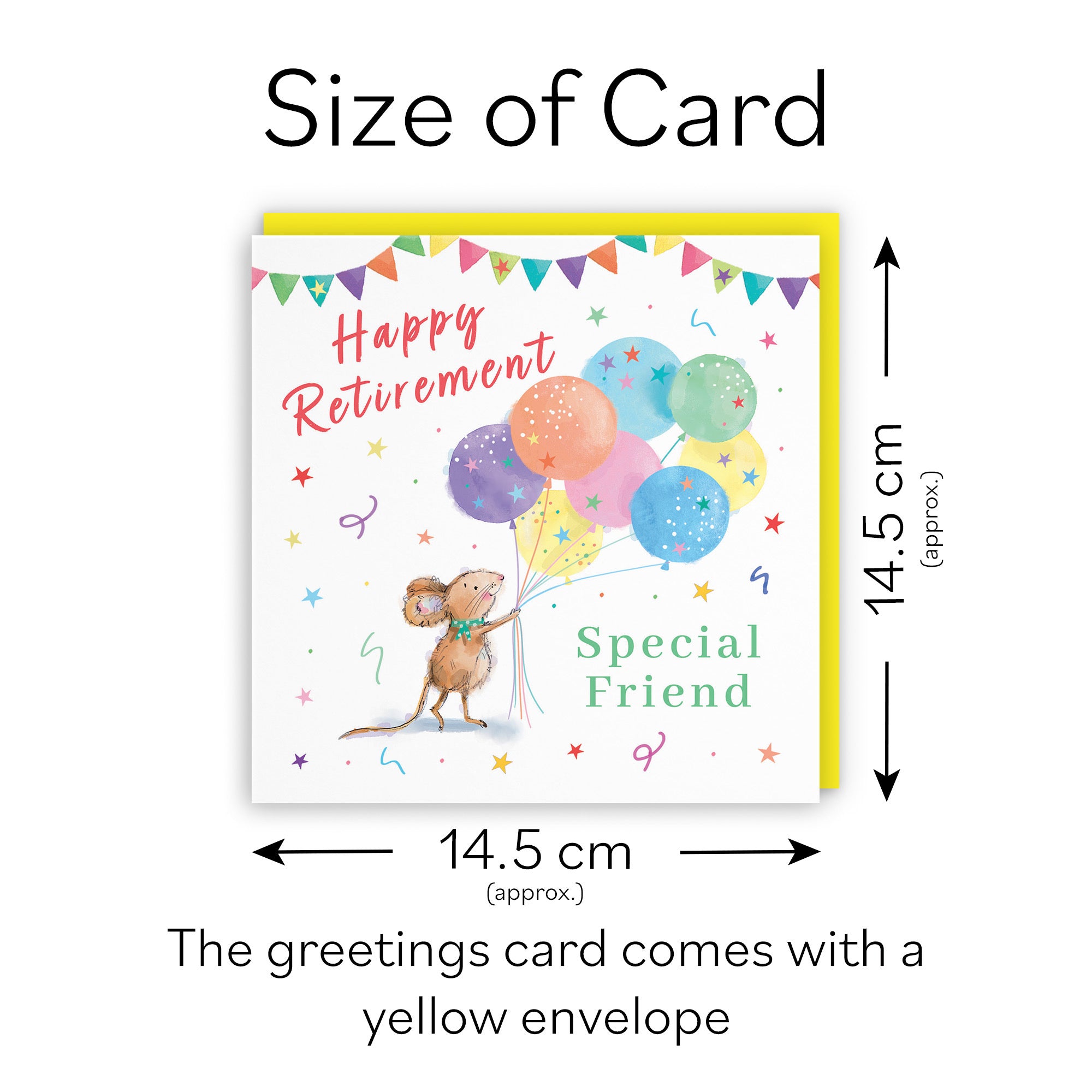 Friend Retirement Card Colourful Balloons Little Whiskers - Default Title (SN00578)