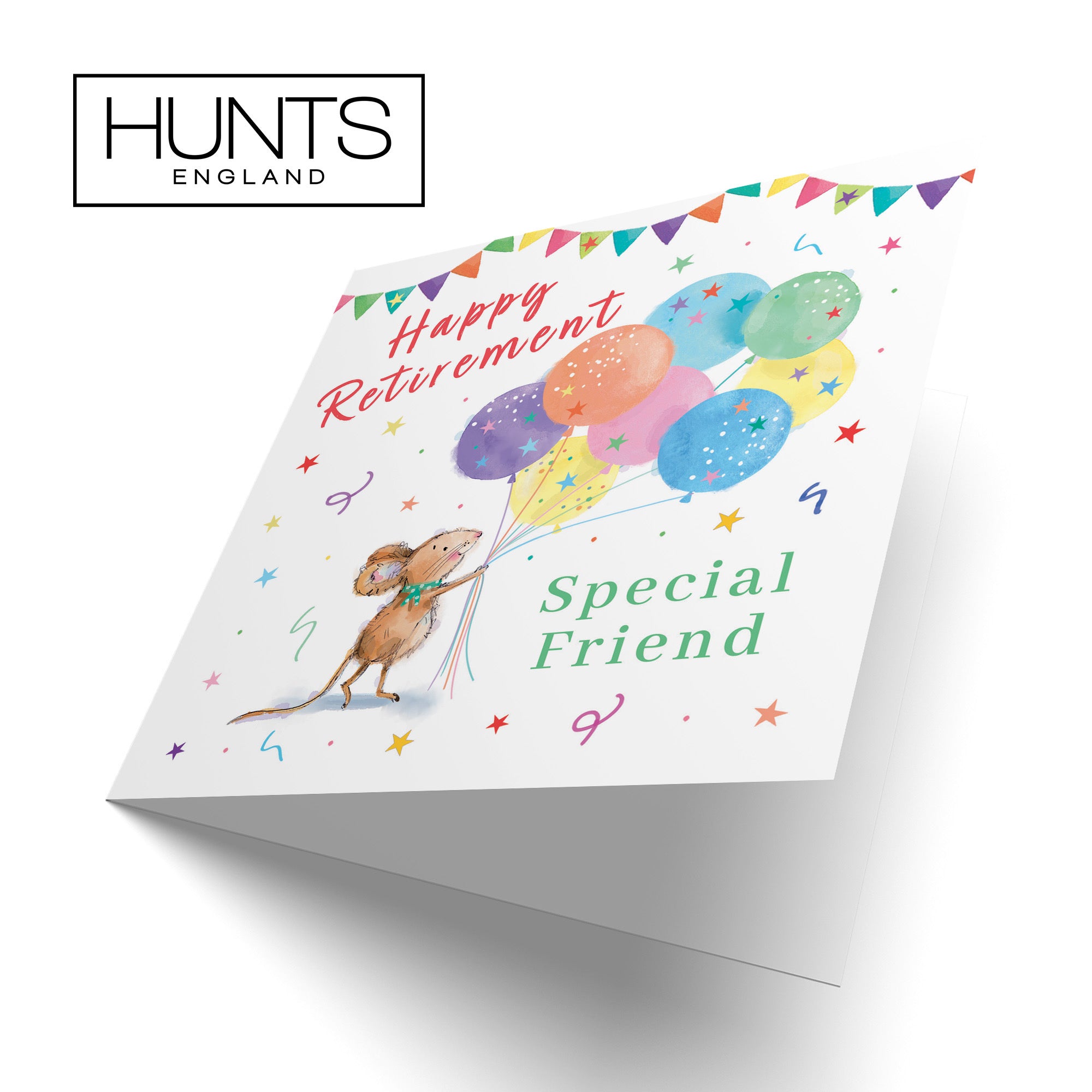 Friend Retirement Card Colourful Balloons Little Whiskers - Default Title (SN00578)
