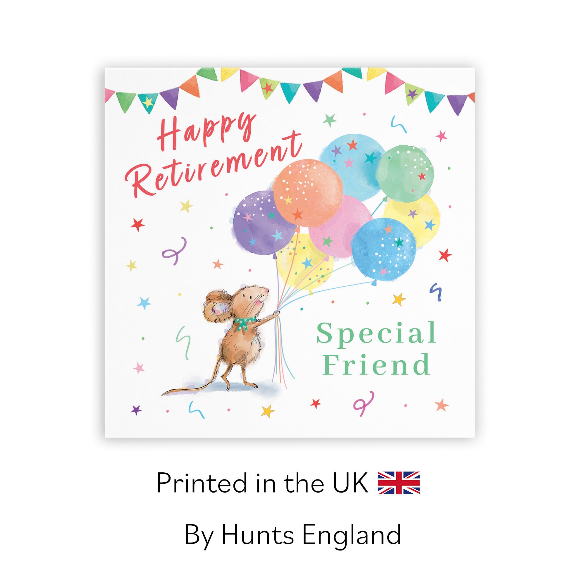 Friend Retirement Card Colourful Balloons Little Whiskers - Default Title (SN00578)