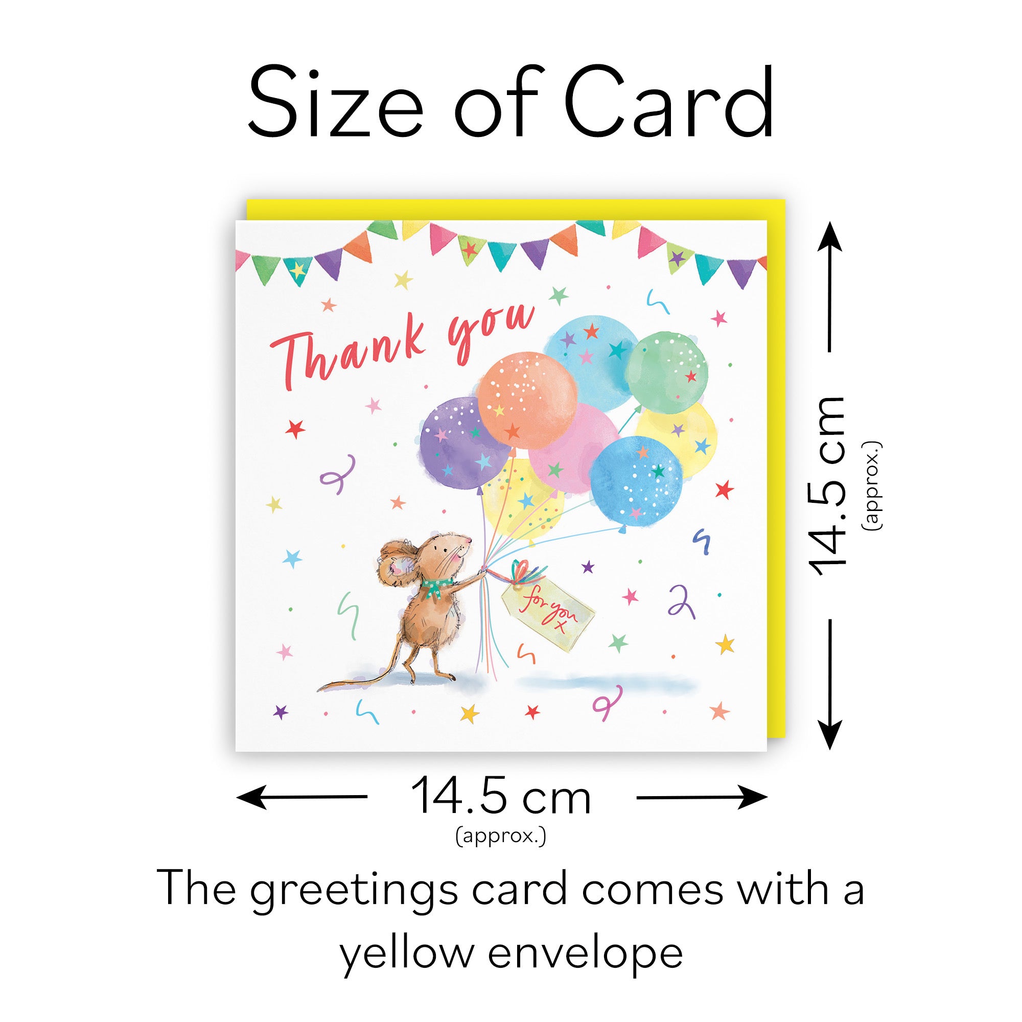Thank You Card Colourful Balloons Little Whiskers - Default Title (SN00579)