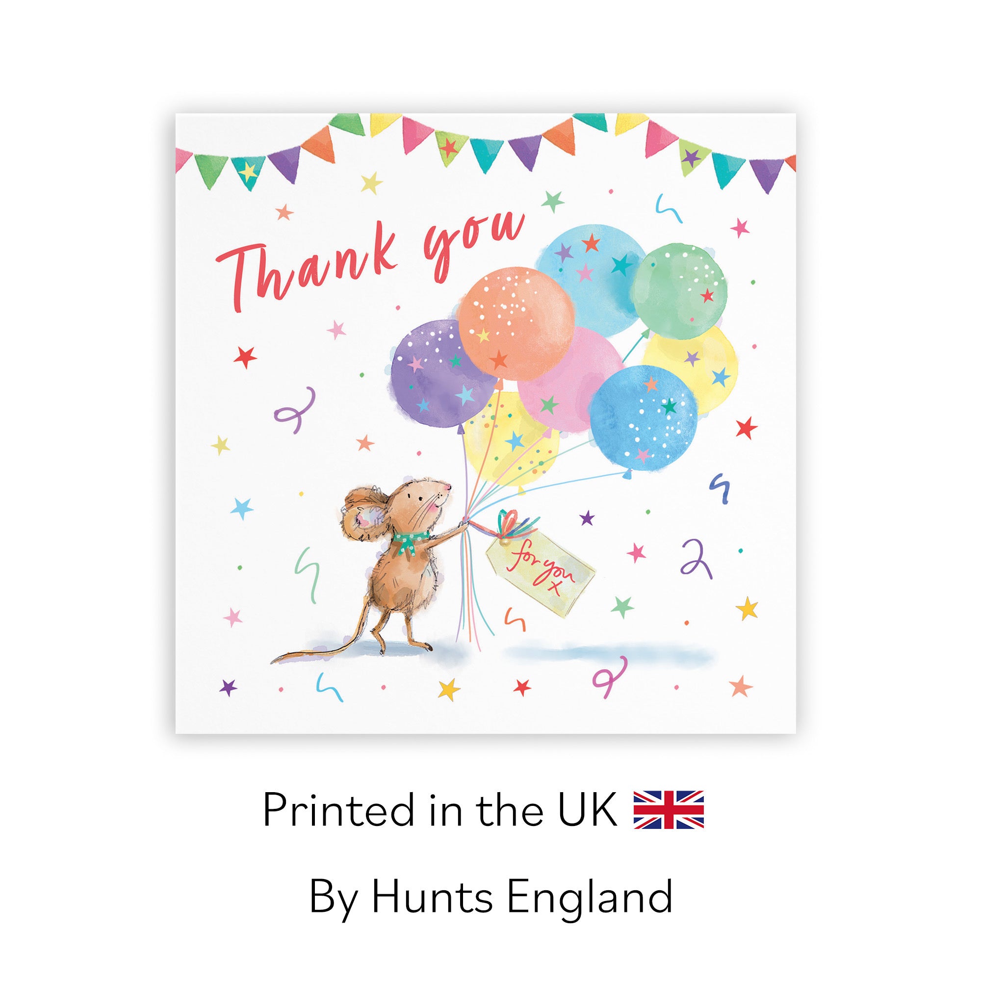 Thank You Card Colourful Balloons Little Whiskers - Default Title (SN00579)