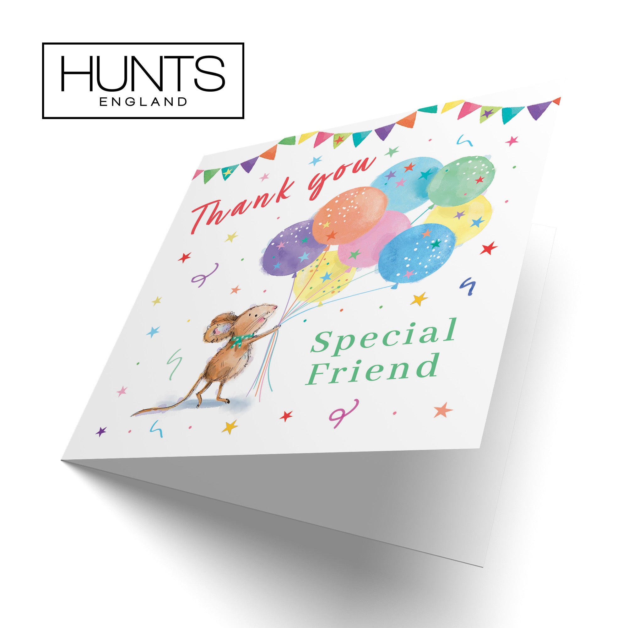 Friend Thank You Card Colourful Balloons Little Whiskers - Default Title (SN00580)