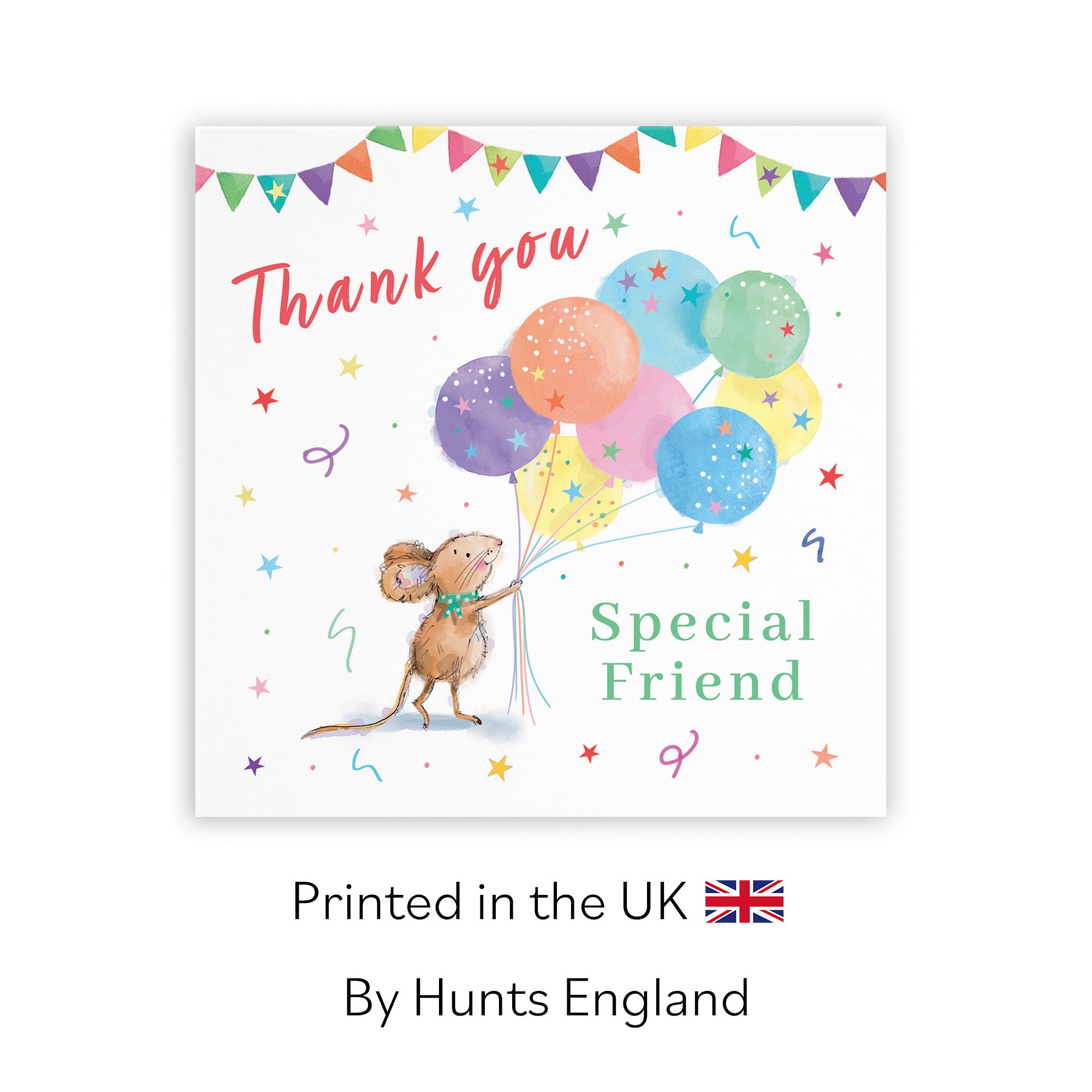 Friend Thank You Card Colourful Balloons Little Whiskers - Default Title (SN00580)
