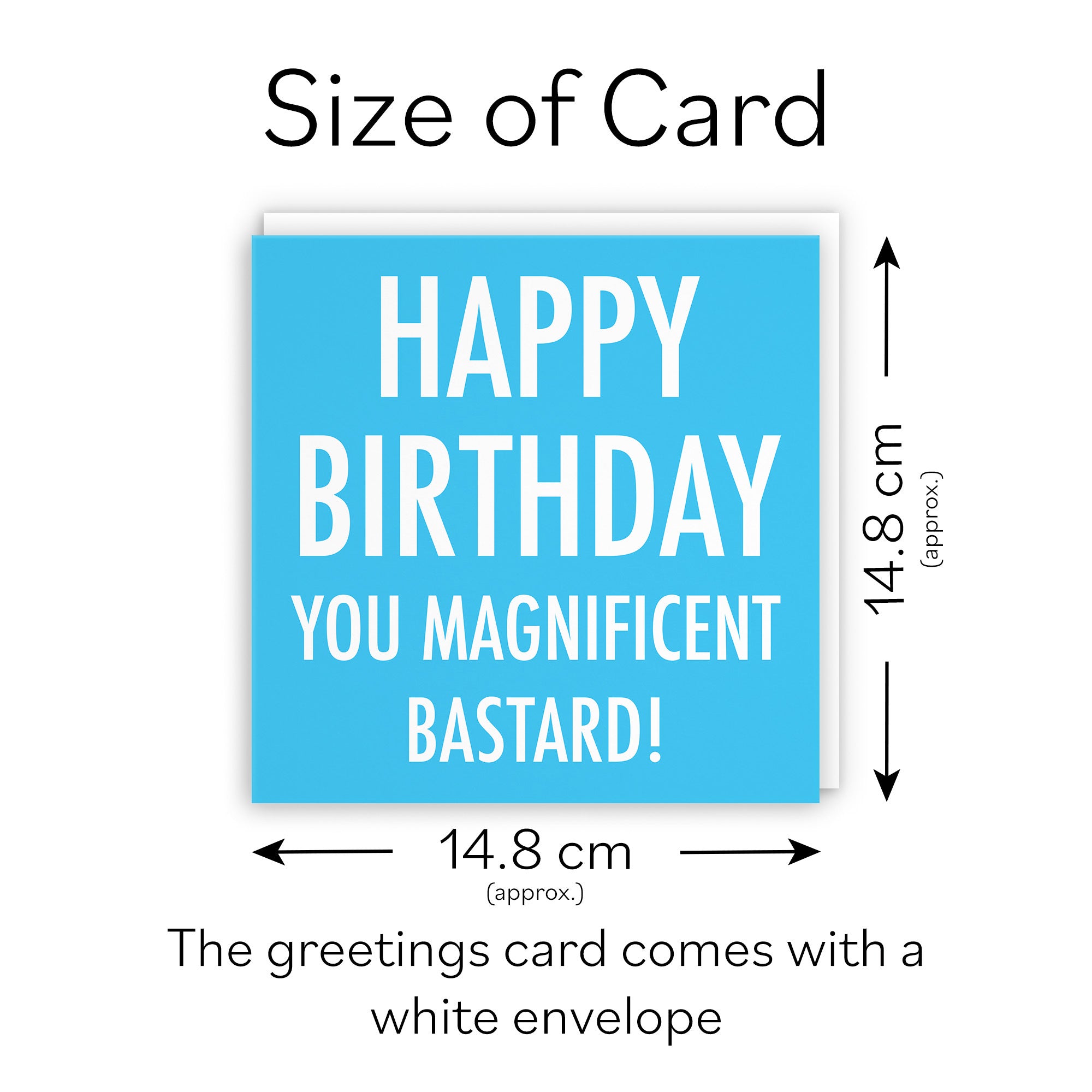Funny Rude Birthday Card Magnificent Bastard Urban Colour - Default Title (TH02056)