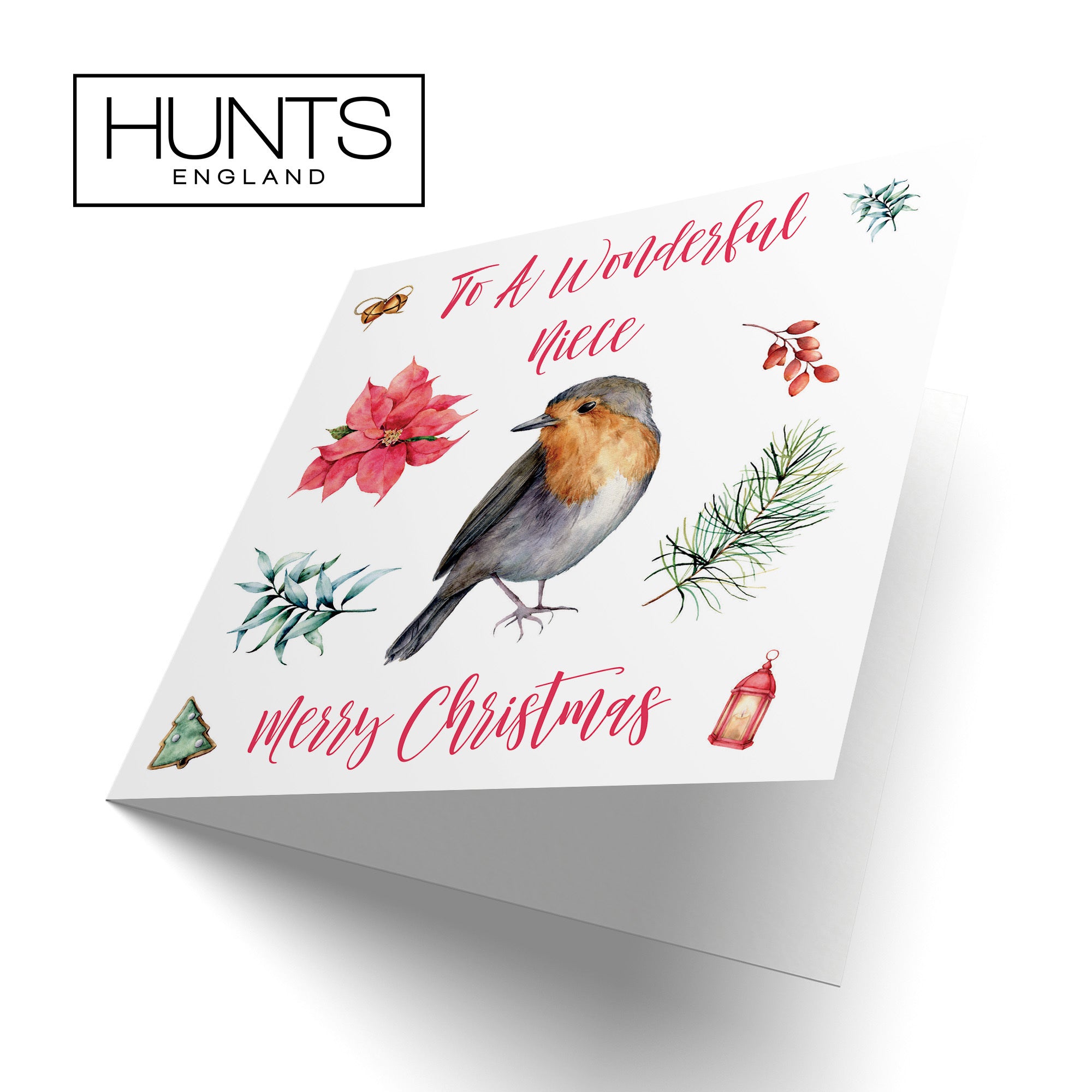 Niece Christmas Card Festive - Default Title (TH02780)