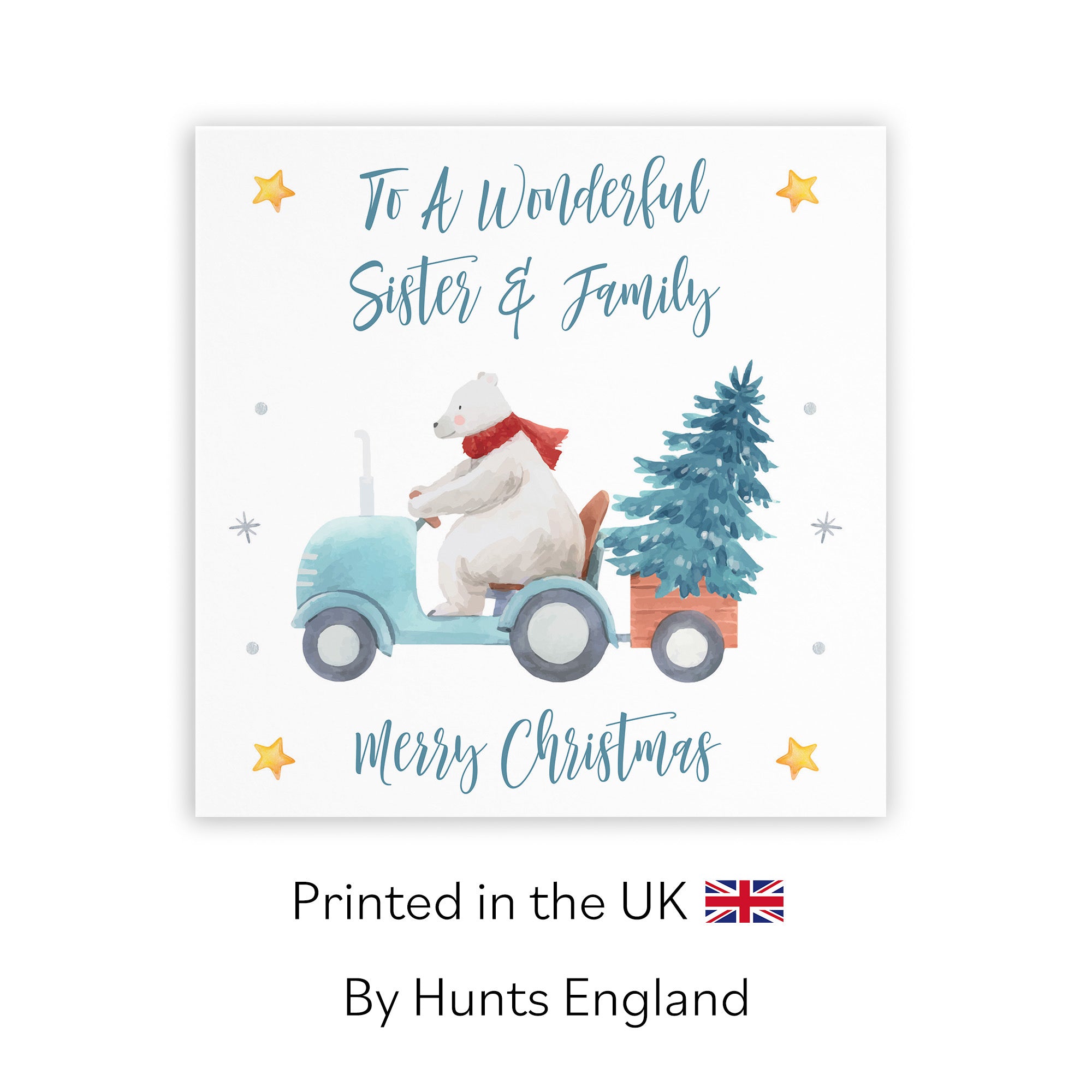 Sister And Family Christmas Card Polar Bear - Default Title (TH02950)