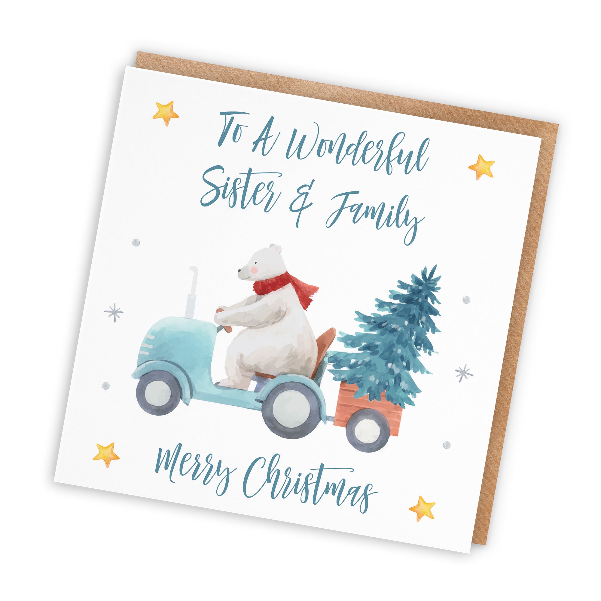 Sister And Family Christmas Card Polar Bear - Default Title (TH02950)