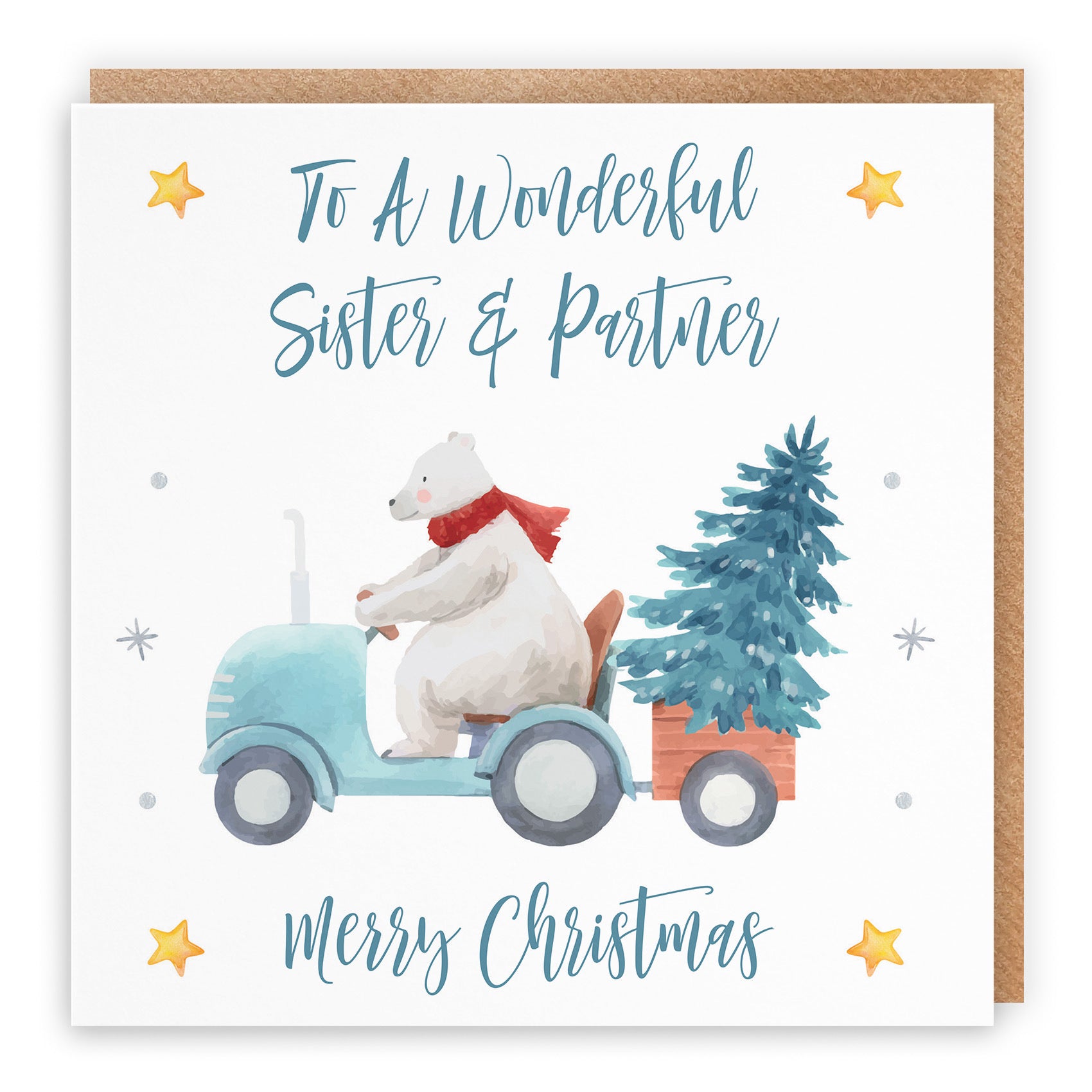 Sister And Partner Christmas Card Polar Bear - Default Title (TH02952)