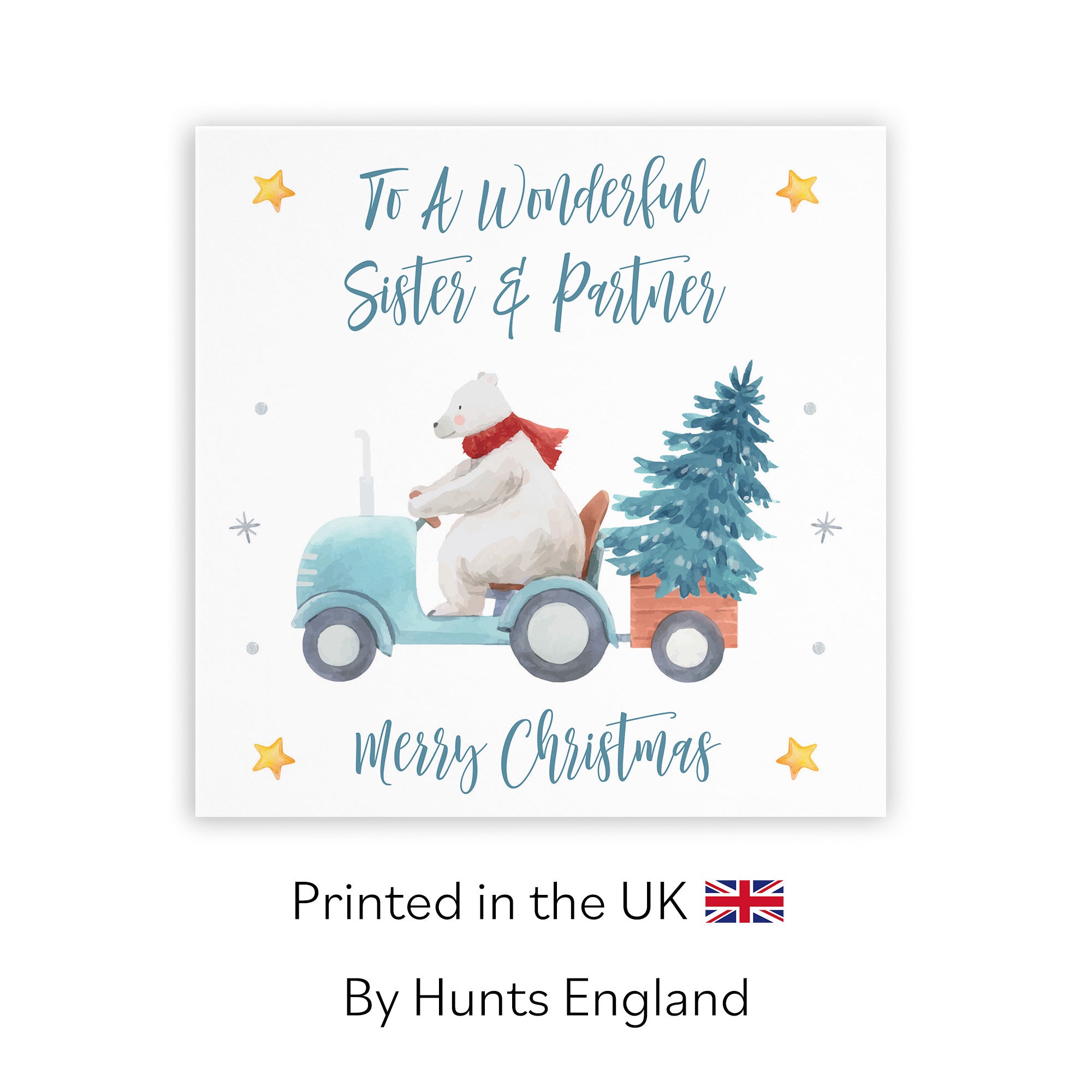 Sister And Partner Christmas Card Polar Bear - Default Title (TH02952)