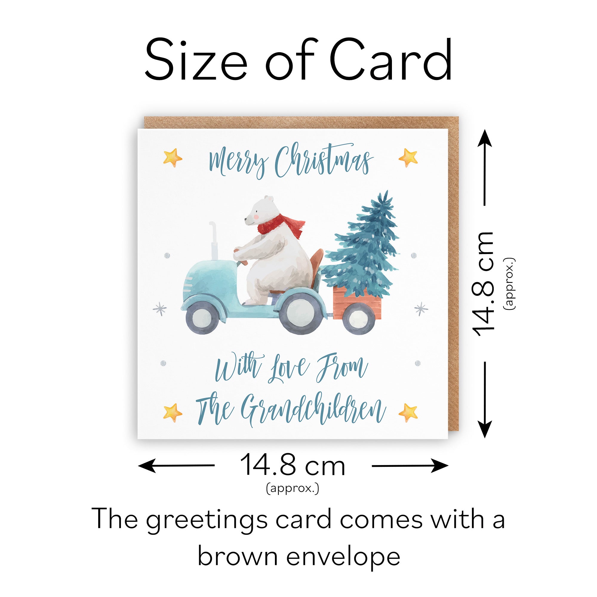 From Grandchildren Christmas Card Polar Bear - Default Title (TH02959)