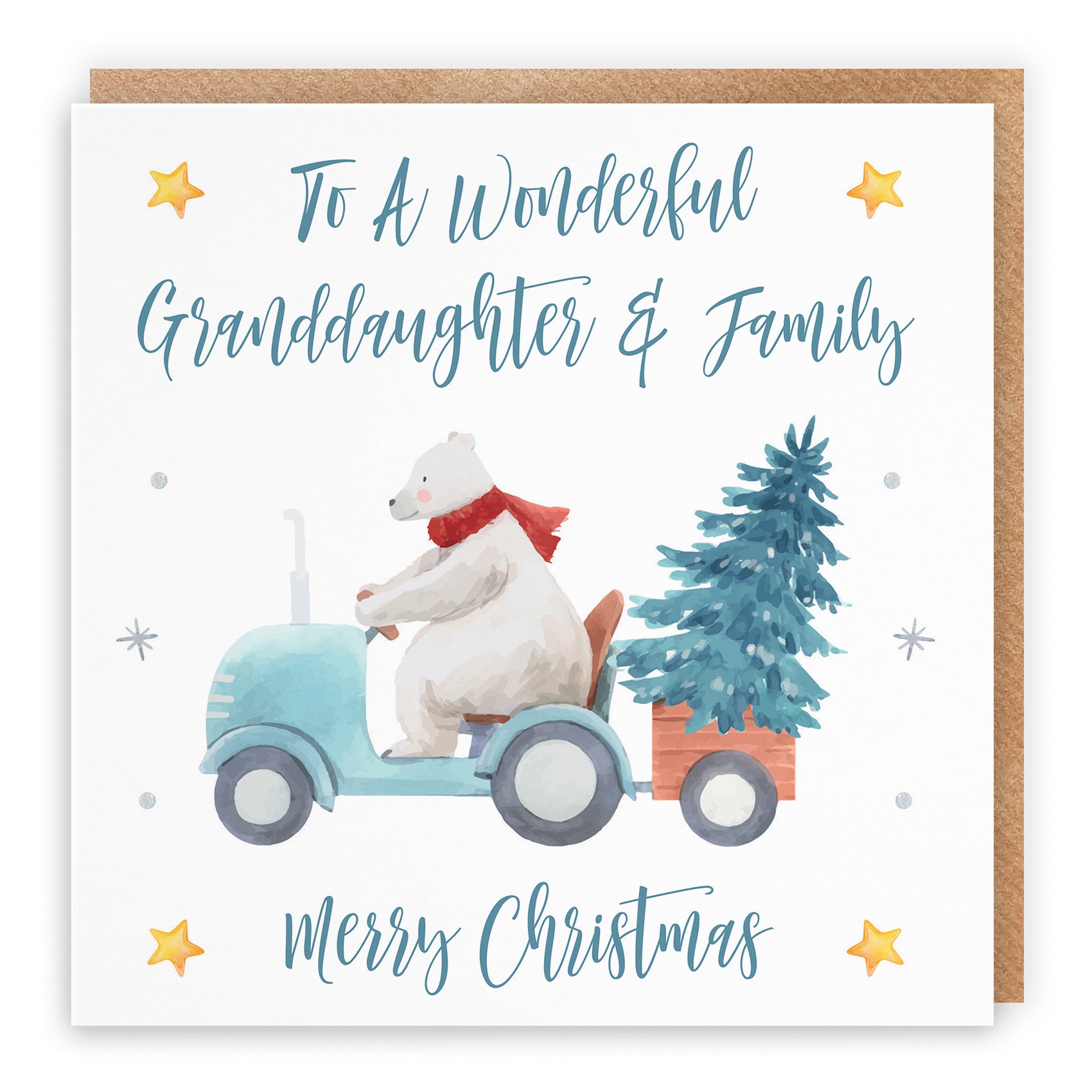 Granddaughter And Family Christmas Card Polar Bear - Default Title (TH02978)
