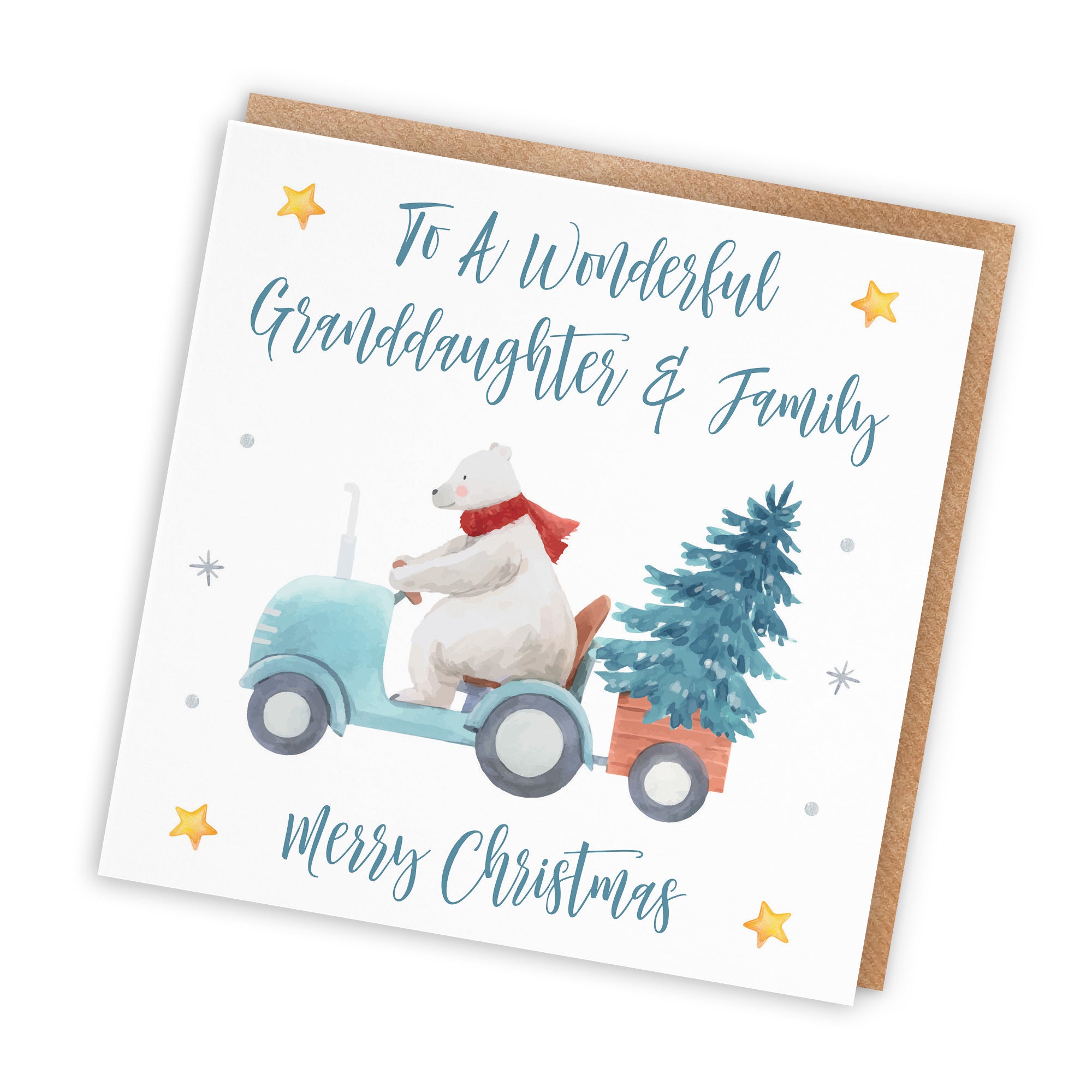 Granddaughter And Family Christmas Card Polar Bear - Default Title (TH02978)