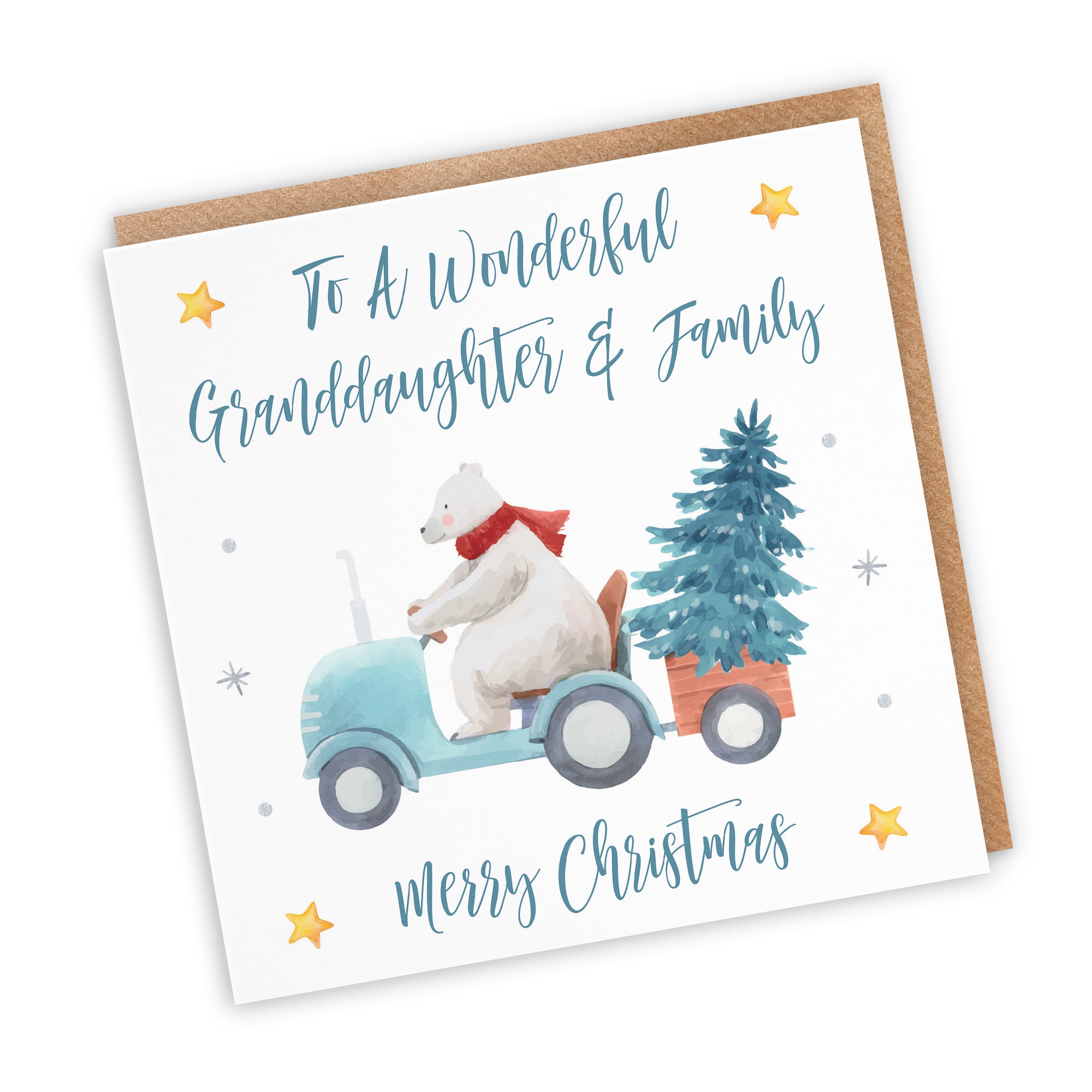 Granddaughter And Family Christmas Card Polar Bear - Default Title (TH02978)