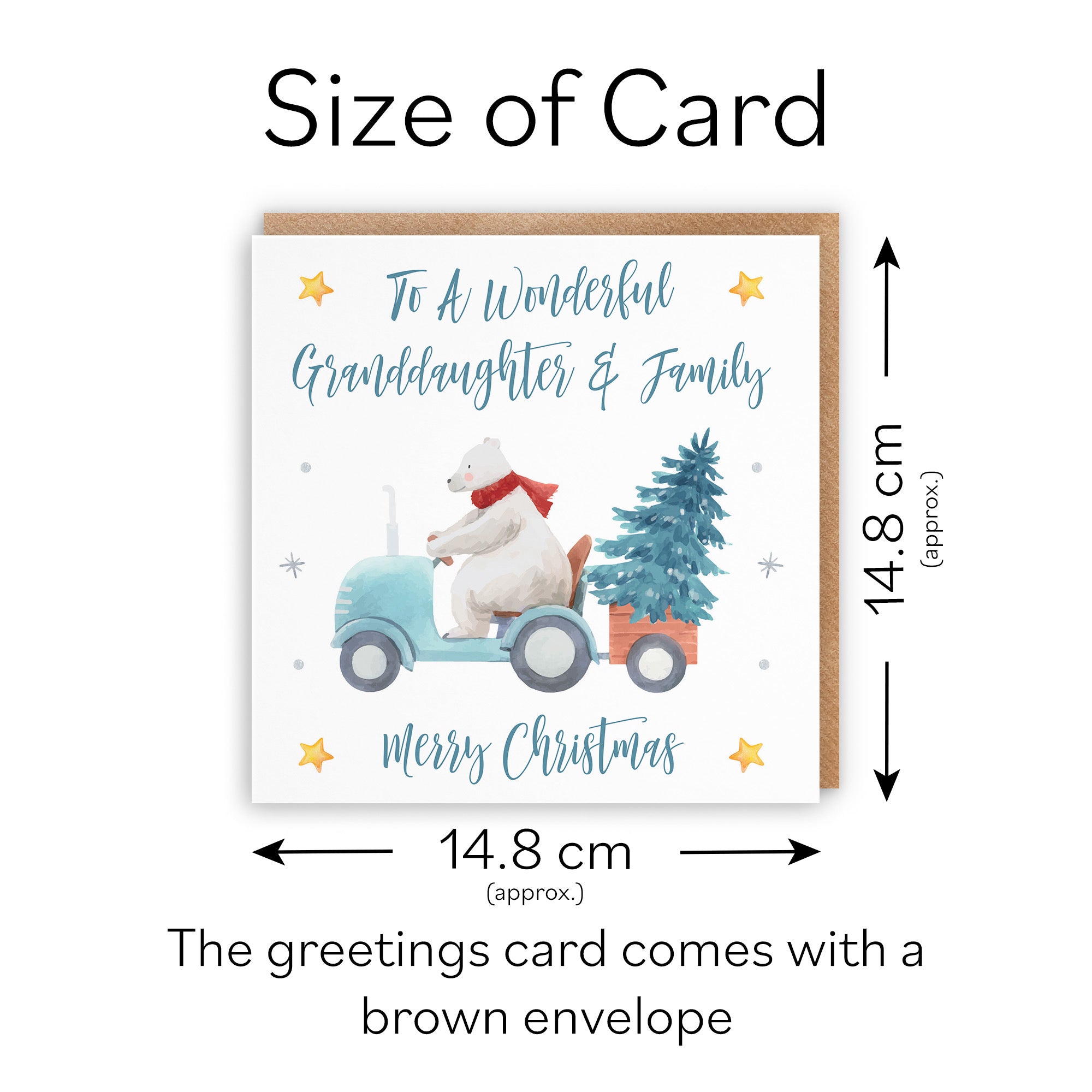 Granddaughter And Family Christmas Card Polar Bear - Default Title (TH02978)