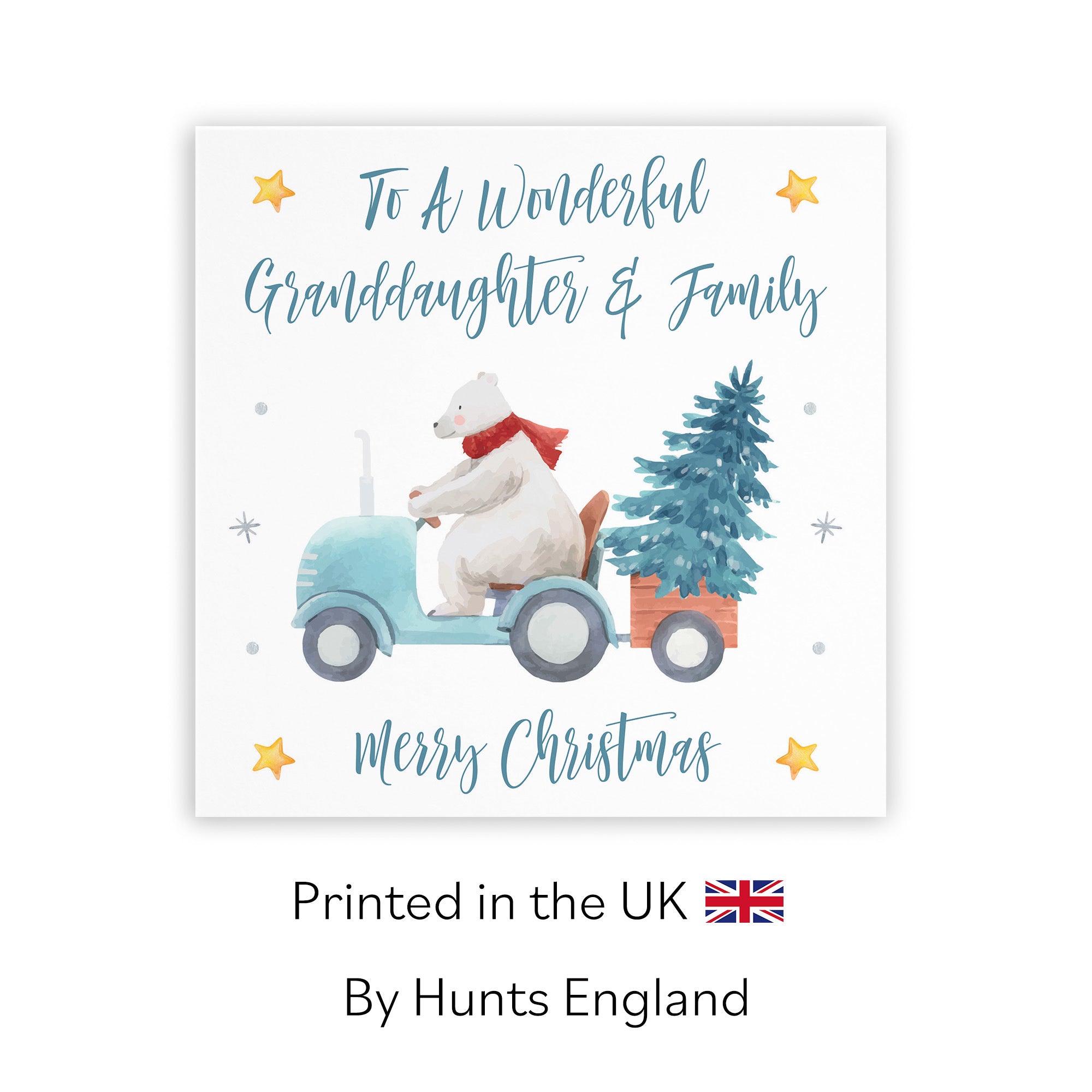 Granddaughter And Family Christmas Card Polar Bear - Default Title (TH02978)