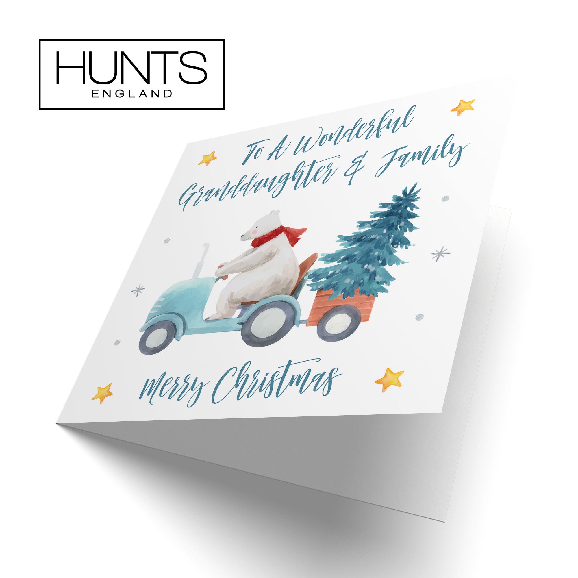 Granddaughter And Family Christmas Card Polar Bear - Default Title (TH02978)
