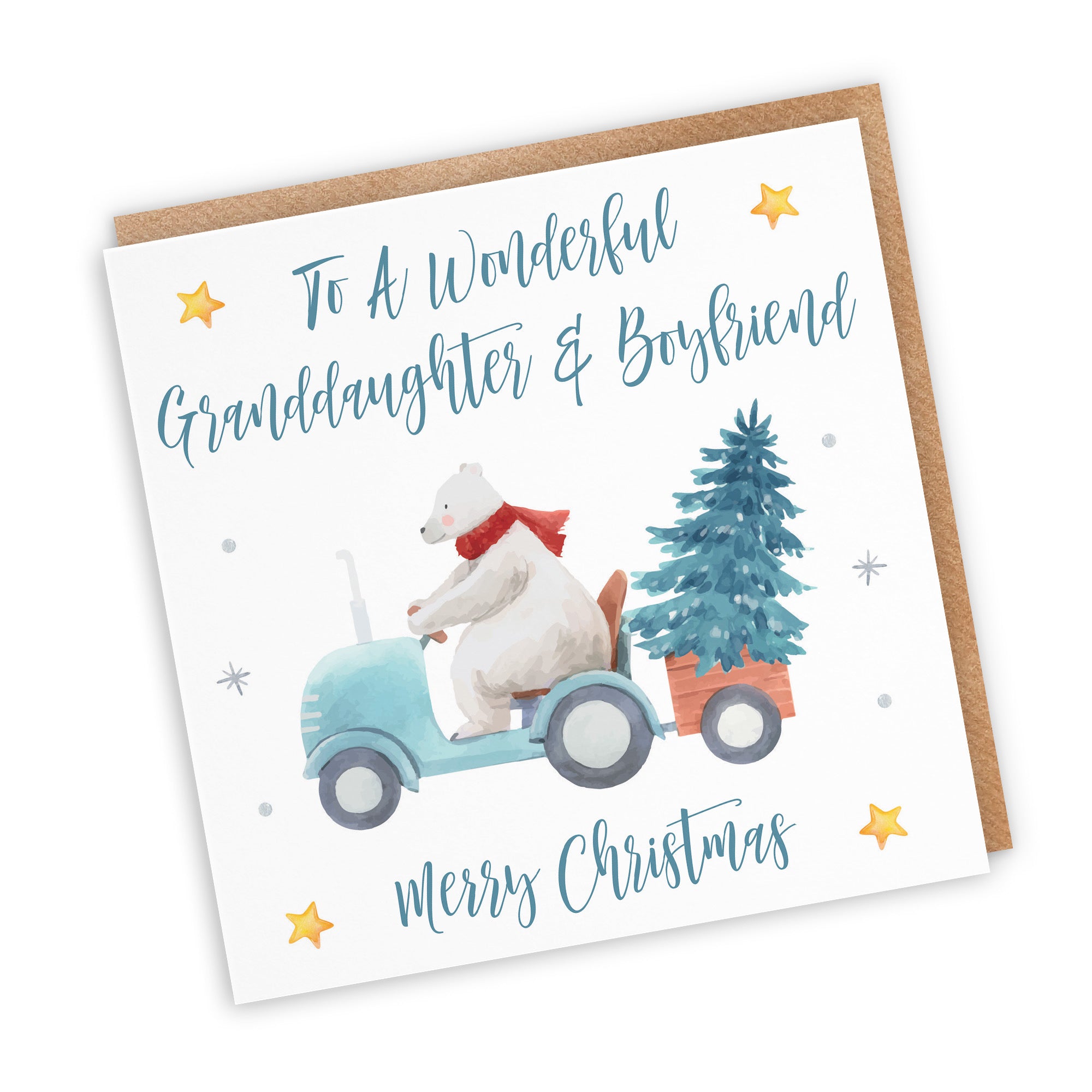 Granddaughter And Boyfriend Christmas Card Polar Bear - Default Title (TH02979)