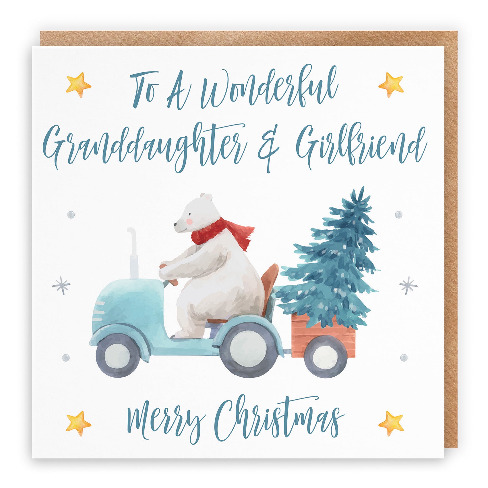 Granddaughter And Girlfriend Christmas Card Polar Bear - Default Title (TH02980)