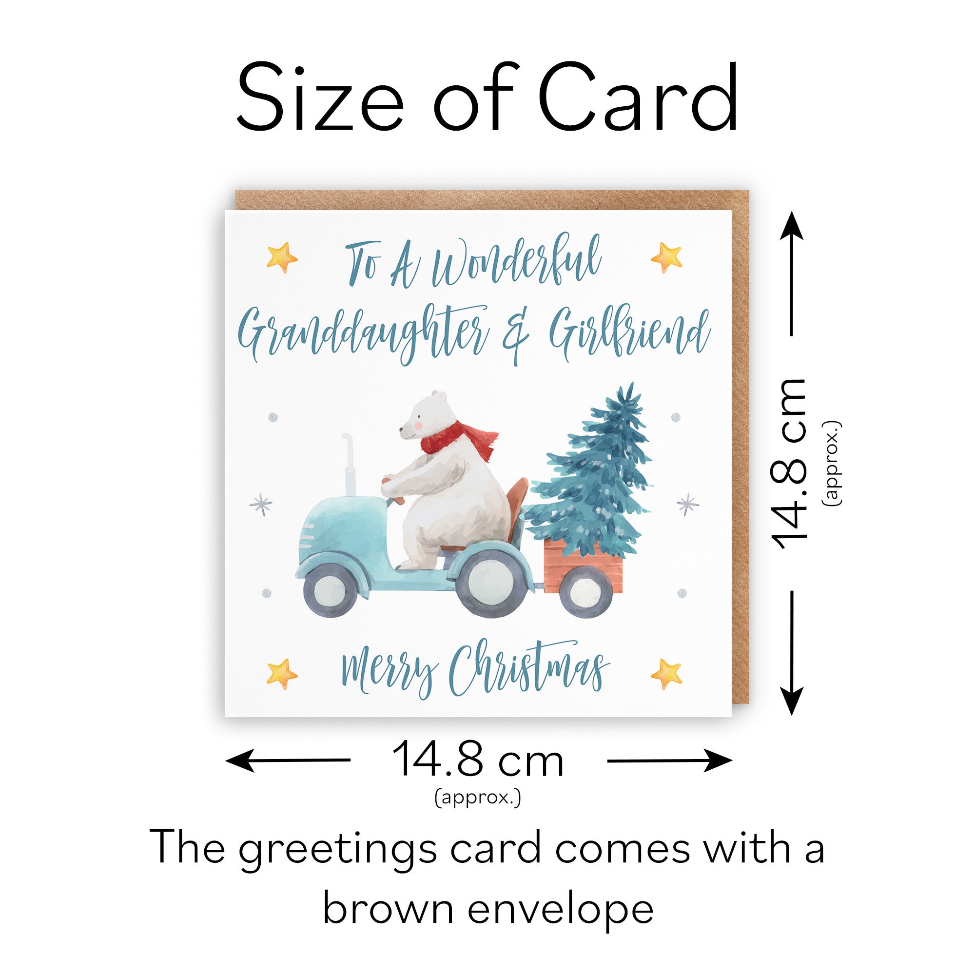 Granddaughter And Girlfriend Christmas Card Polar Bear - Default Title (TH02980)
