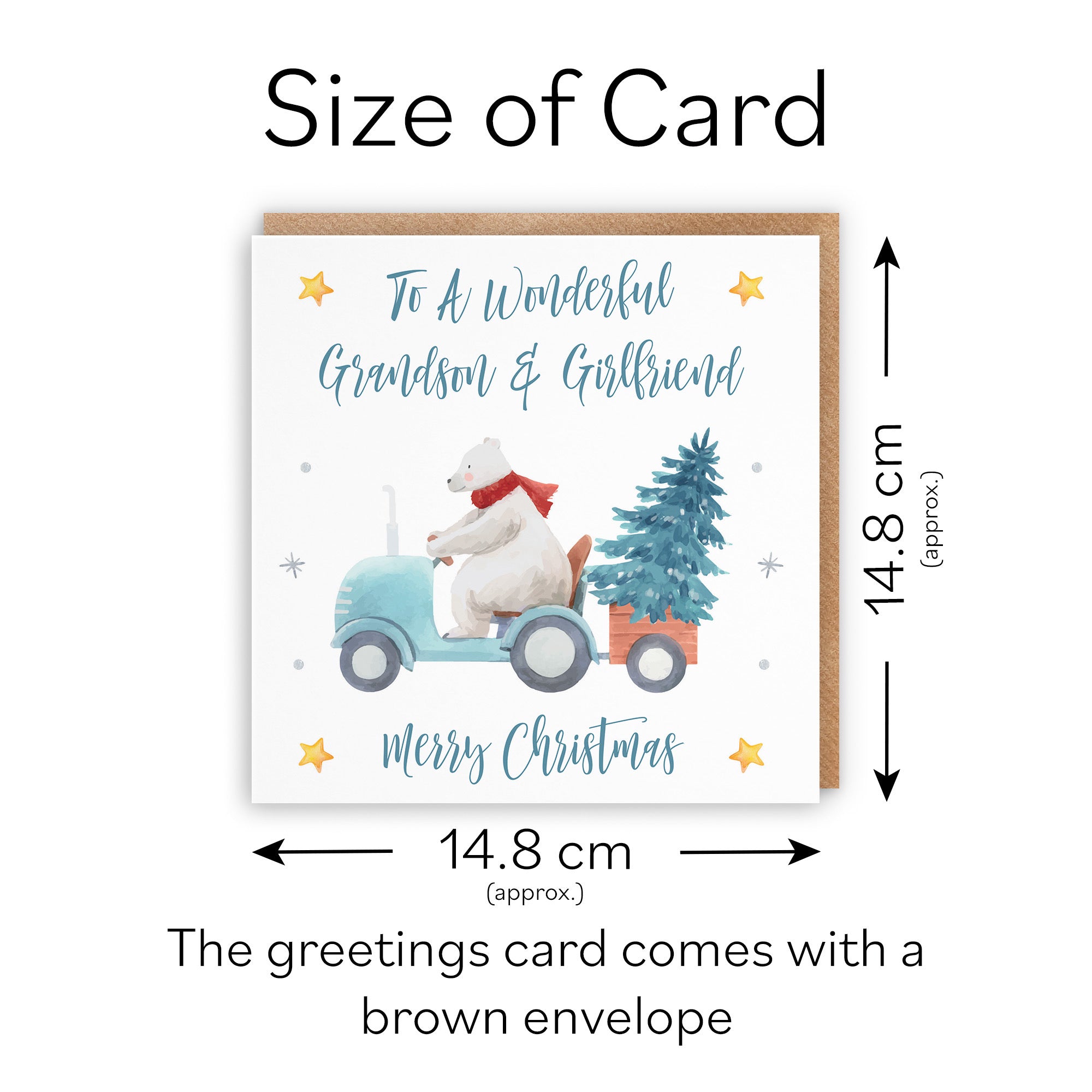 Grandson And Girlfriend Christmas Card Polar Bear - Default Title (TH02983)