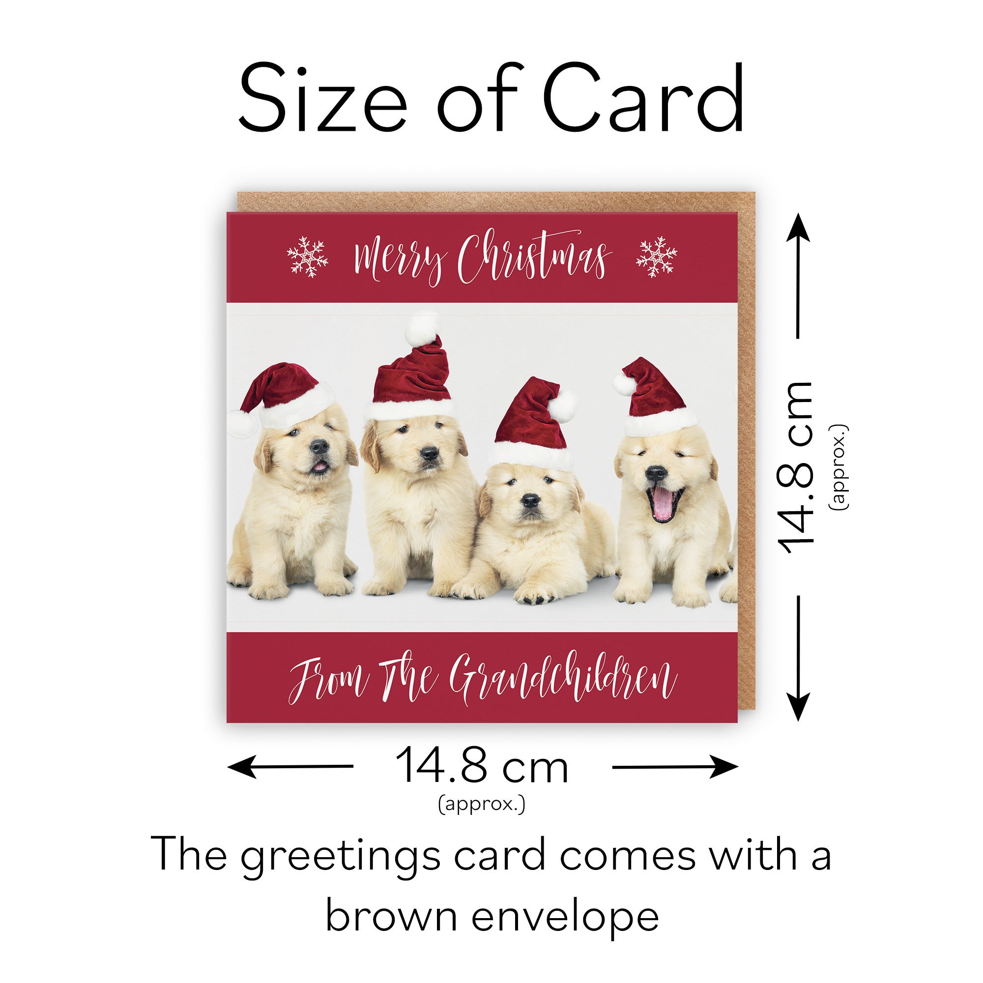 Christmas Card From Grandchildren Puppy - Default Title (TH03018)