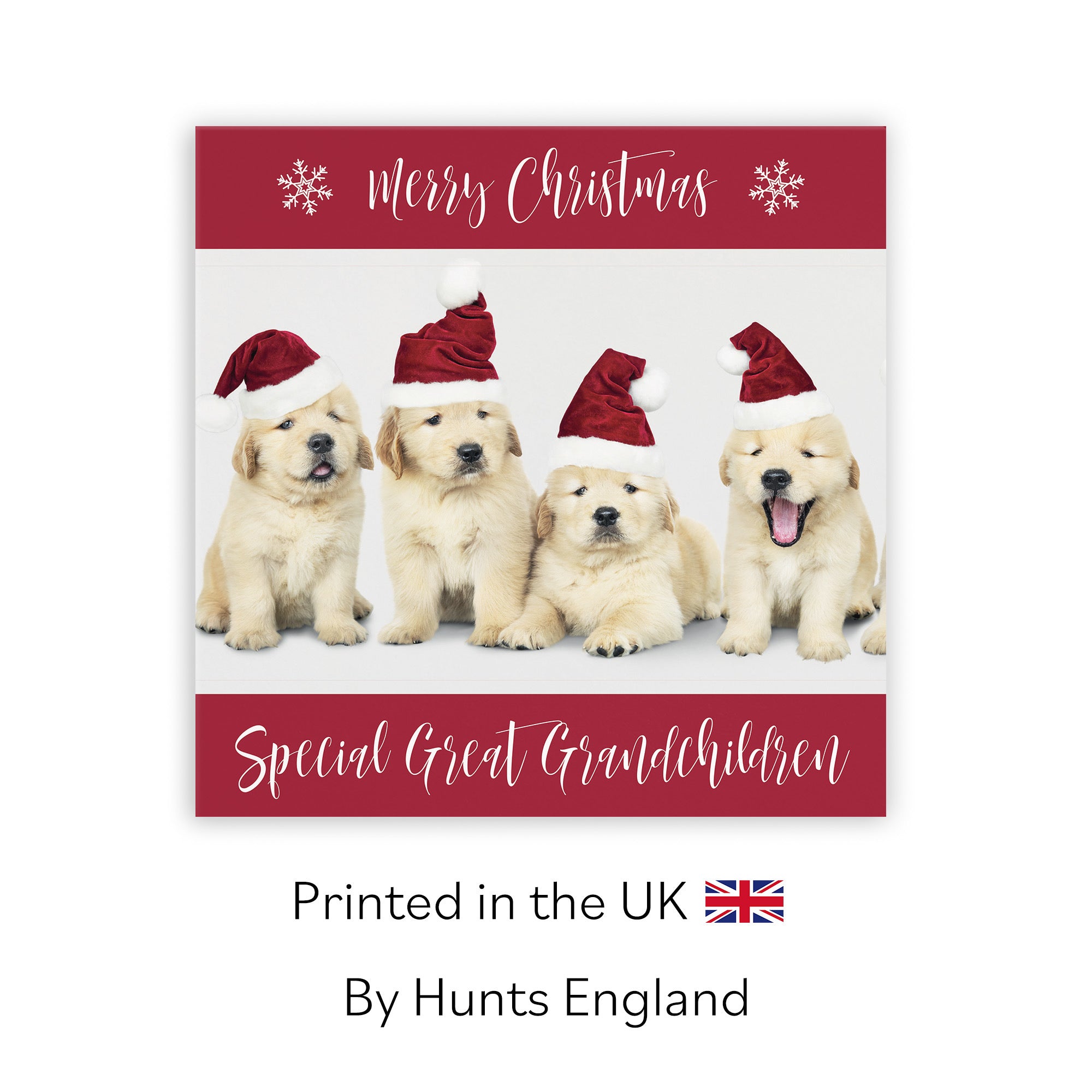 Great Grandchildren Christmas Card Puppy - Default Title (TH03020)