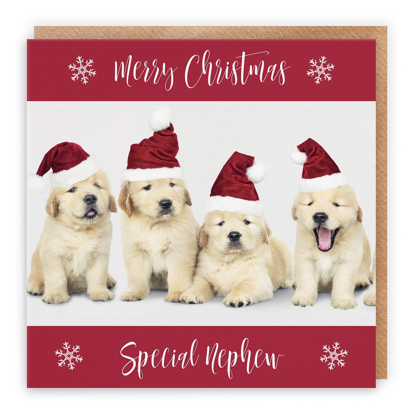 Nephew Christmas Card Puppy - Default Title (TH03029)