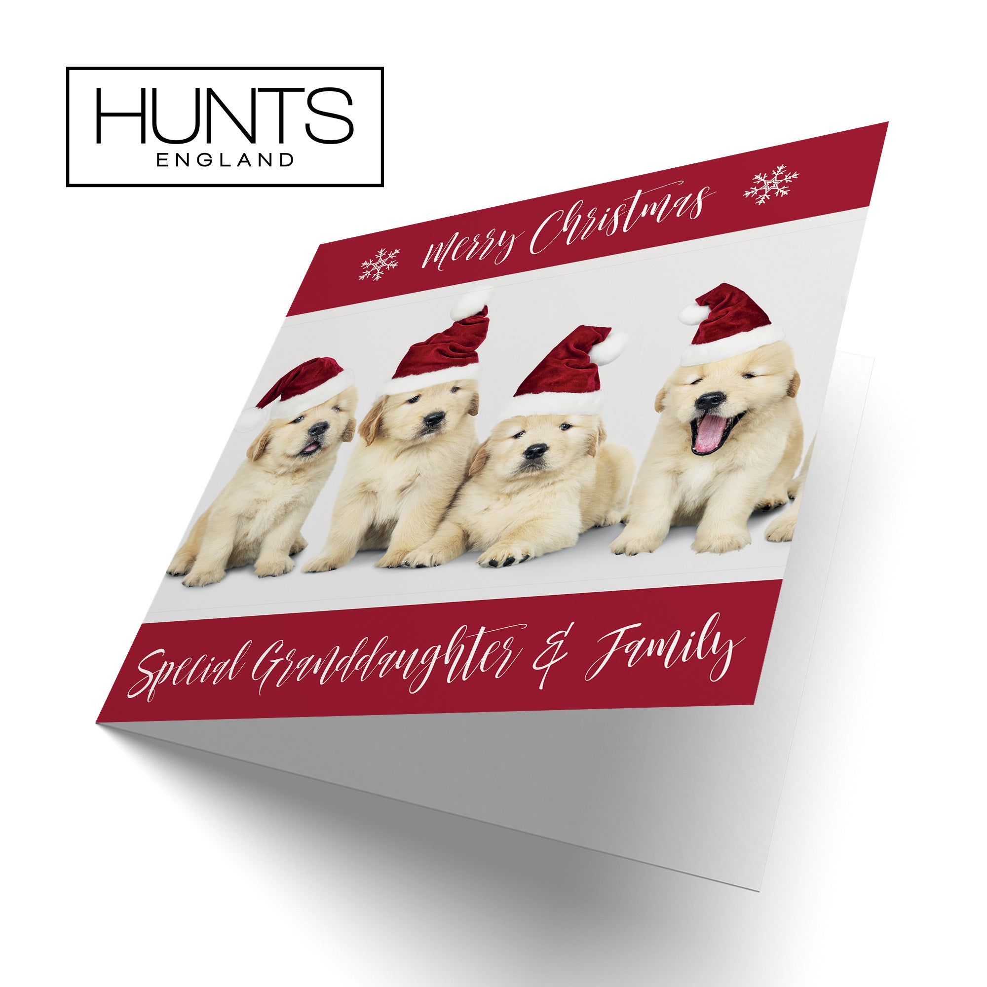 Granddaughter And Family Christmas Card Puppy - Default Title (TH03036)