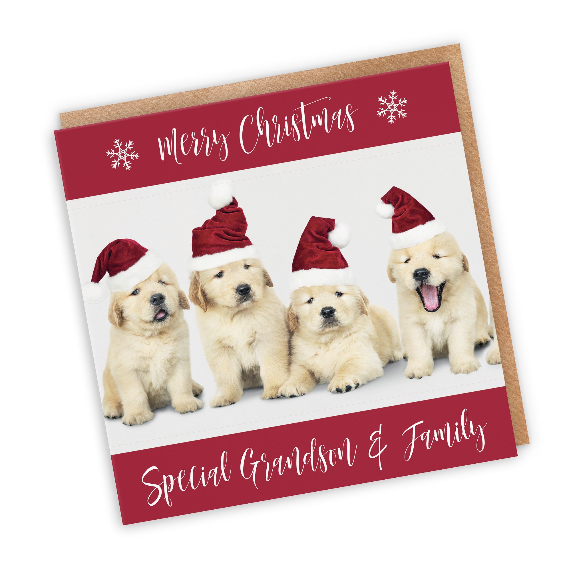 Grandson And Family Christmas Card Puppy - Default Title (TH03037)