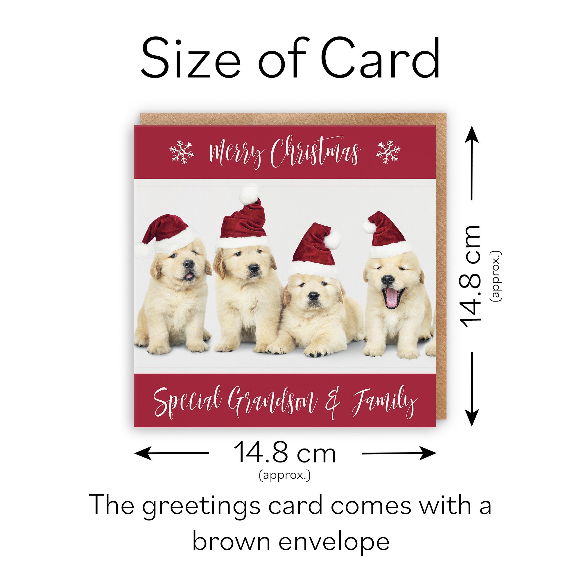 Grandson And Family Christmas Card Puppy - Default Title (TH03037)